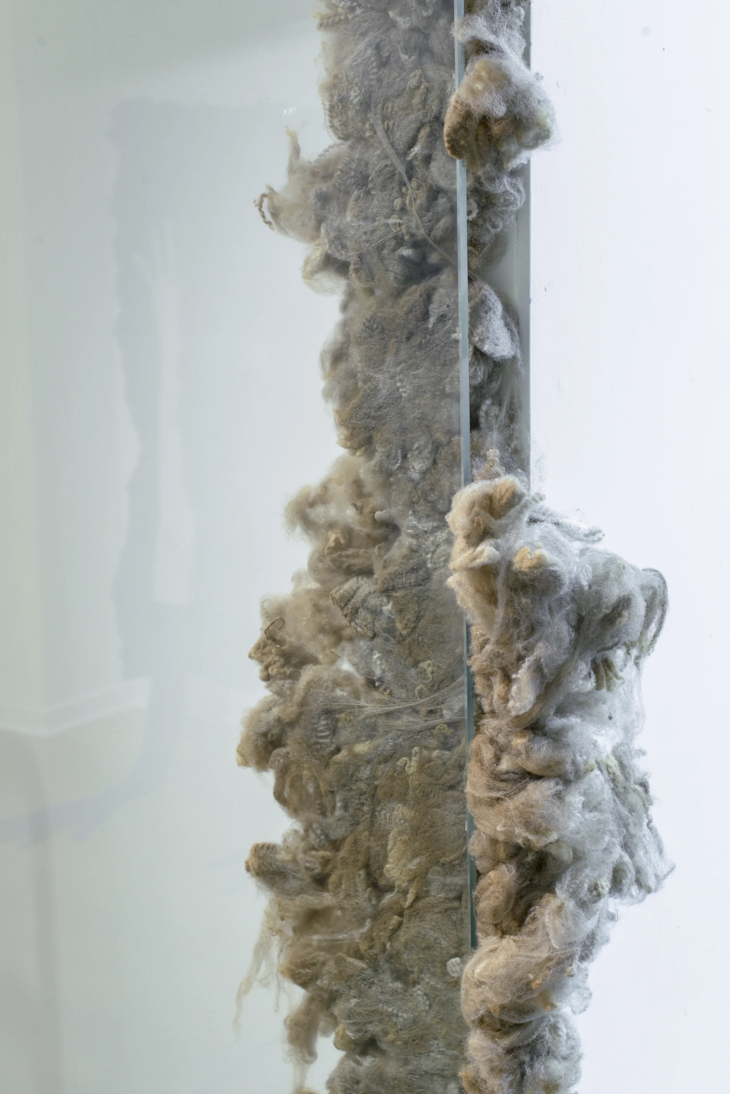 Raw fleece insert