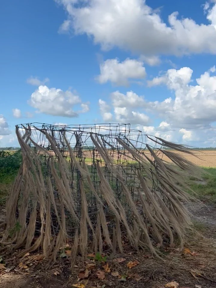 Three months of living in The Netherlands!!! 

1/ My first piece; attaching hanks of semi-processed flax to the intersection moments of a grid (wire fencing) in the Noordoostpolder (human made farm land drained and claimed in the 1940s, formerly the 