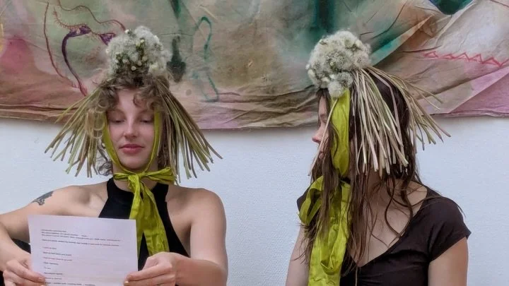 🌬️ &lsquo;wish-heads&rsquo;, provisional sculptures I made from spent dandelions collected near my studio in Groningen. (I collected them as they were mid-transformation all closed up green buds that then popped in my studio, the white tiny bristles