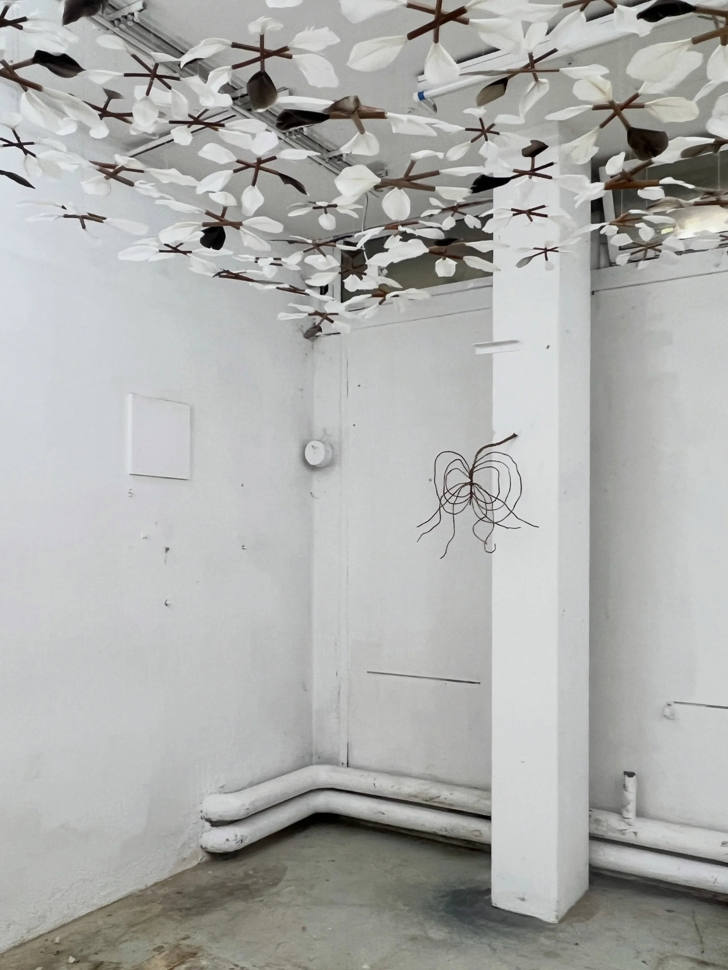Hope, 2026

goose feathers, duck feathers, Japanese knotweed, metal fixtures and thread, variable dimensions*

&ldquo;Hope is the thing with feathers &mdash;
that perches in the soul 
And sings in the tune without the words &mdash;
And never stops &m