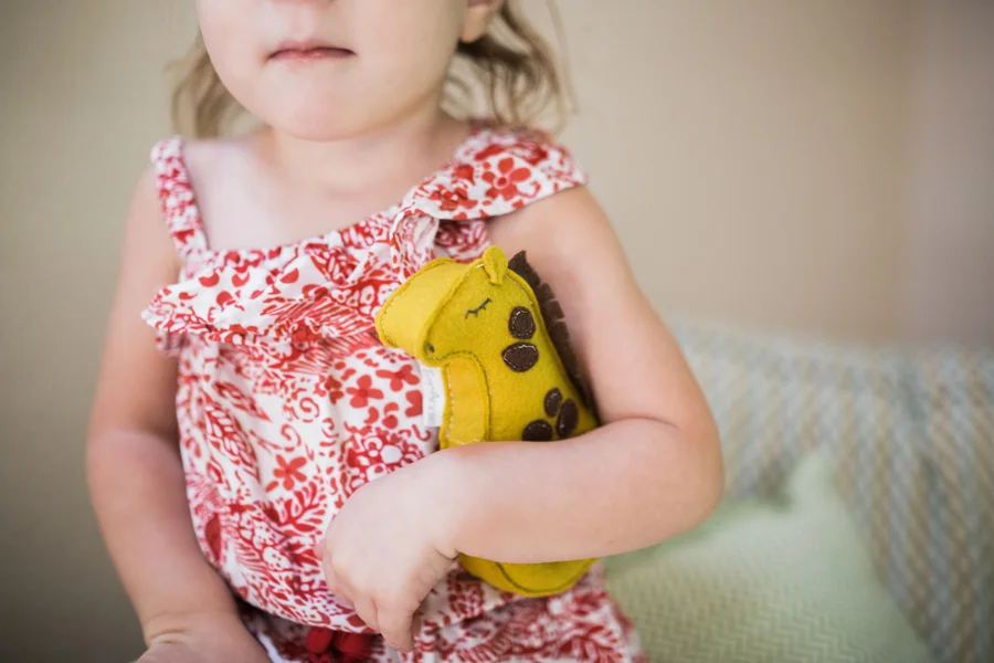 June 16: Mae Mae brought this little buddy all over the house after I gave it to her for a photo shoot. Check out Emy and Annie for more handmade goodness.