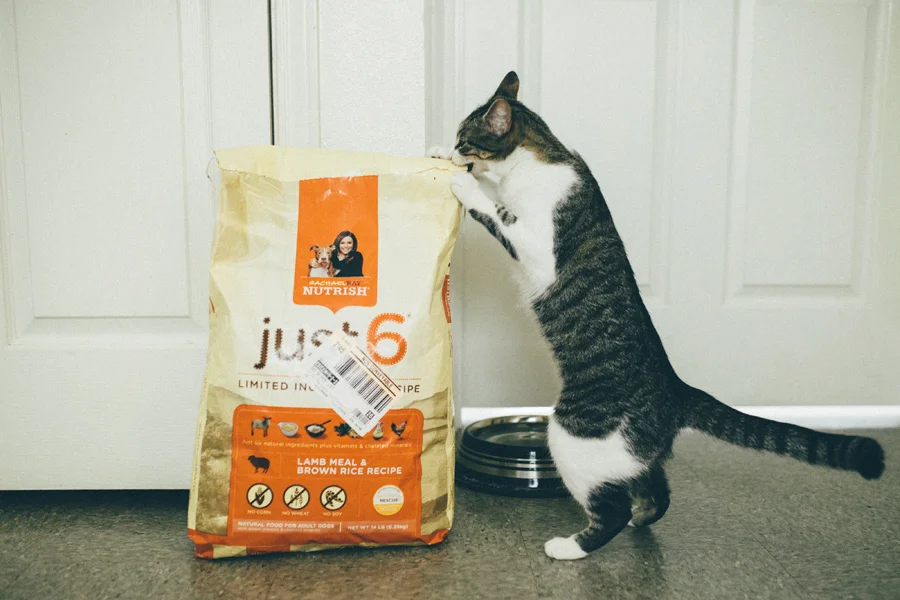 July 26: Our cats prefer the dog's food.