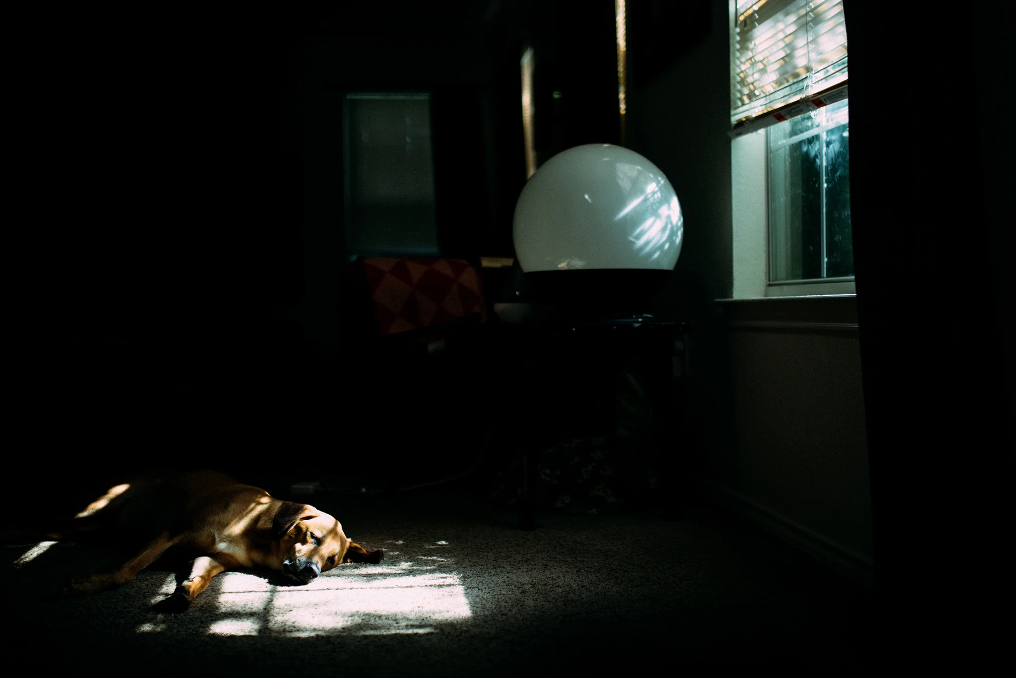 August 2: Mornings.