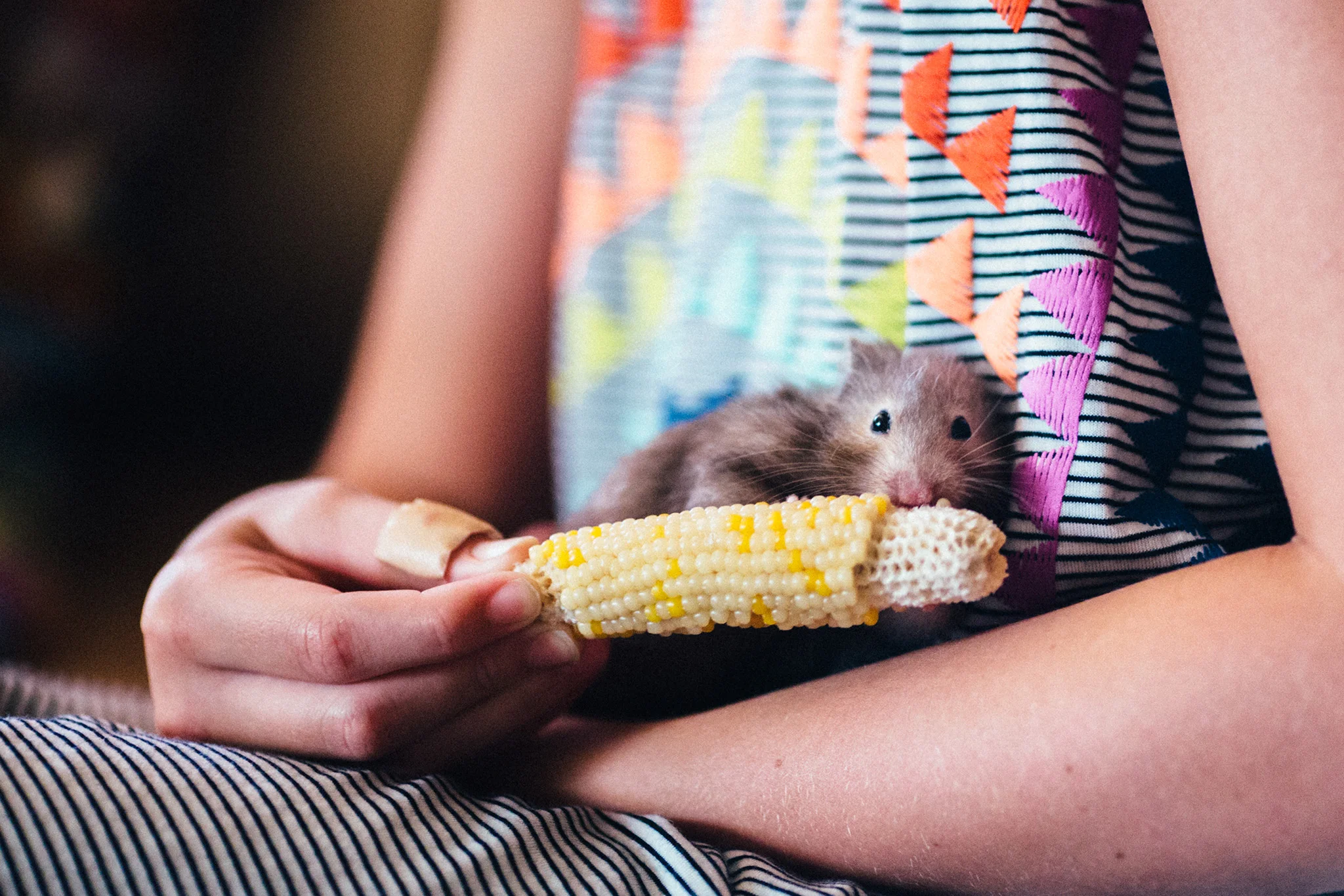 August 6: To quote my sister-in-law, "I'm not sure there's anything cuter than a hamster eating."