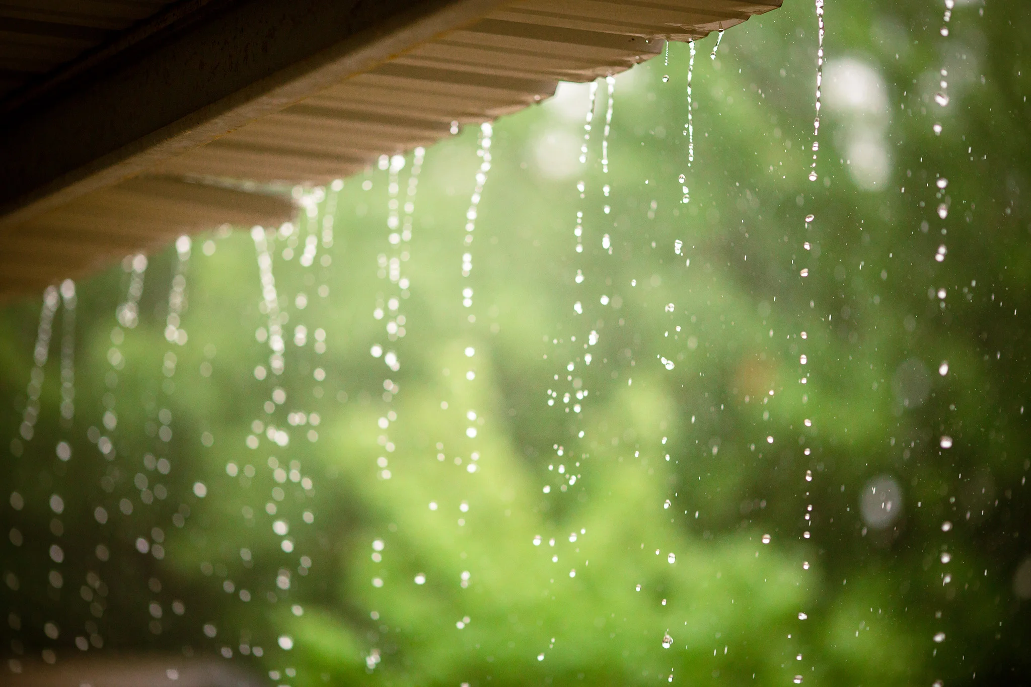 August 18: Downpour from under the carport.