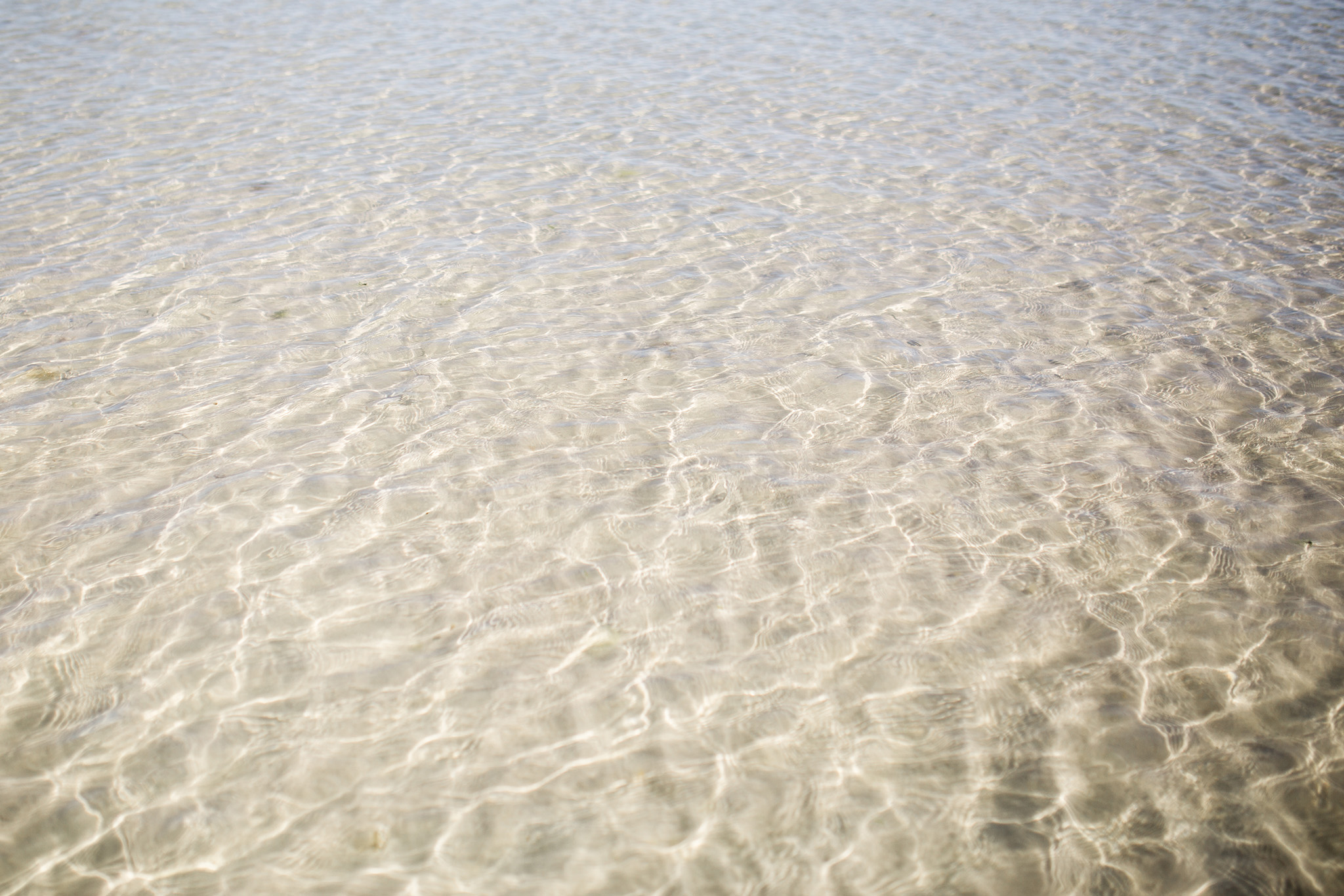 August 23: A morning walk at high tide.