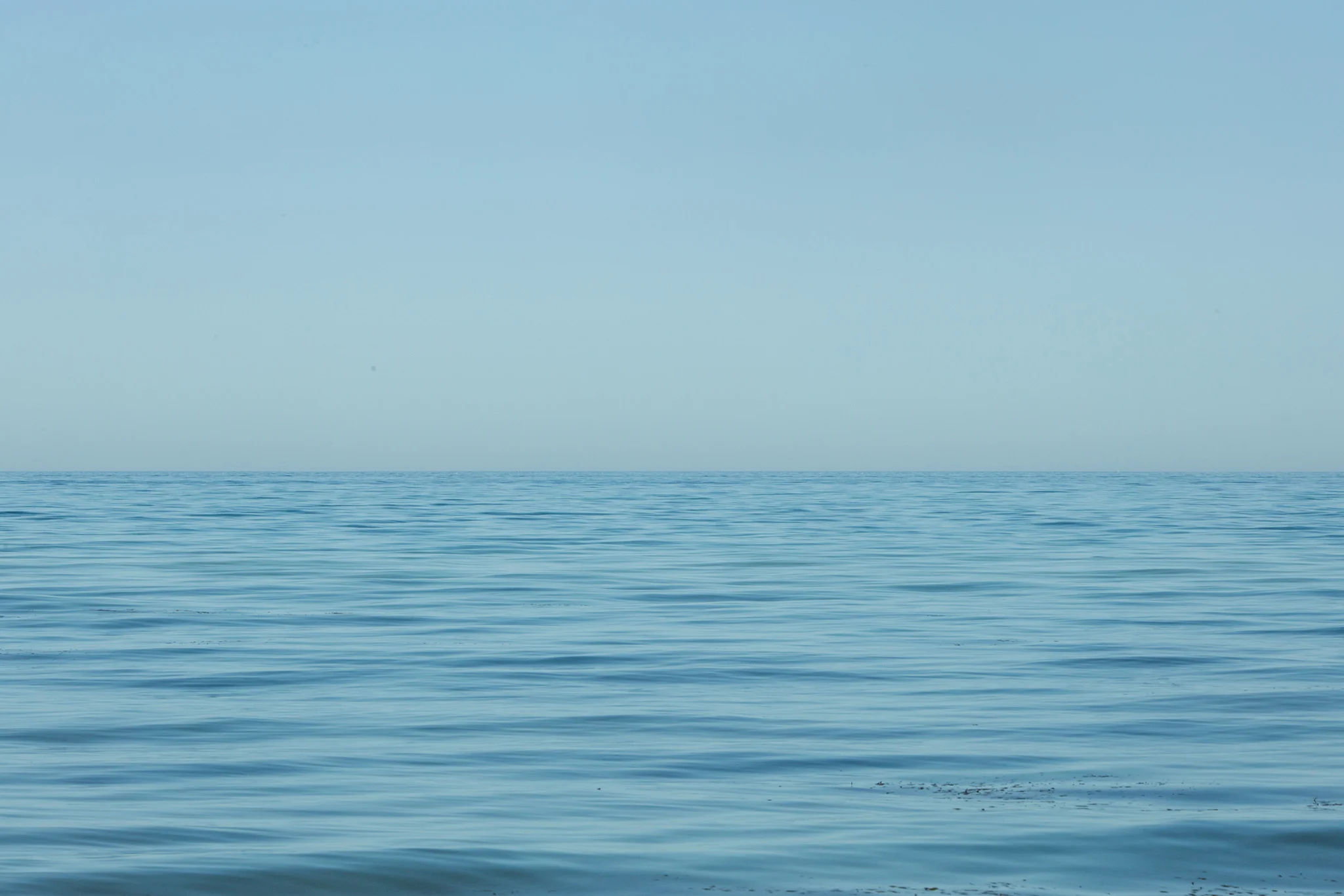 August 24: Blue.