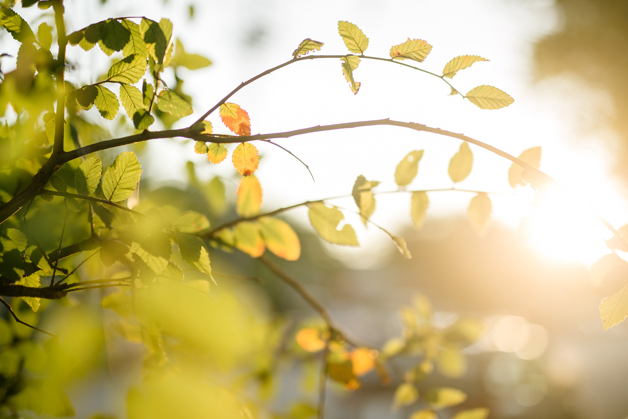 October 7: I spy a hint of fall.
