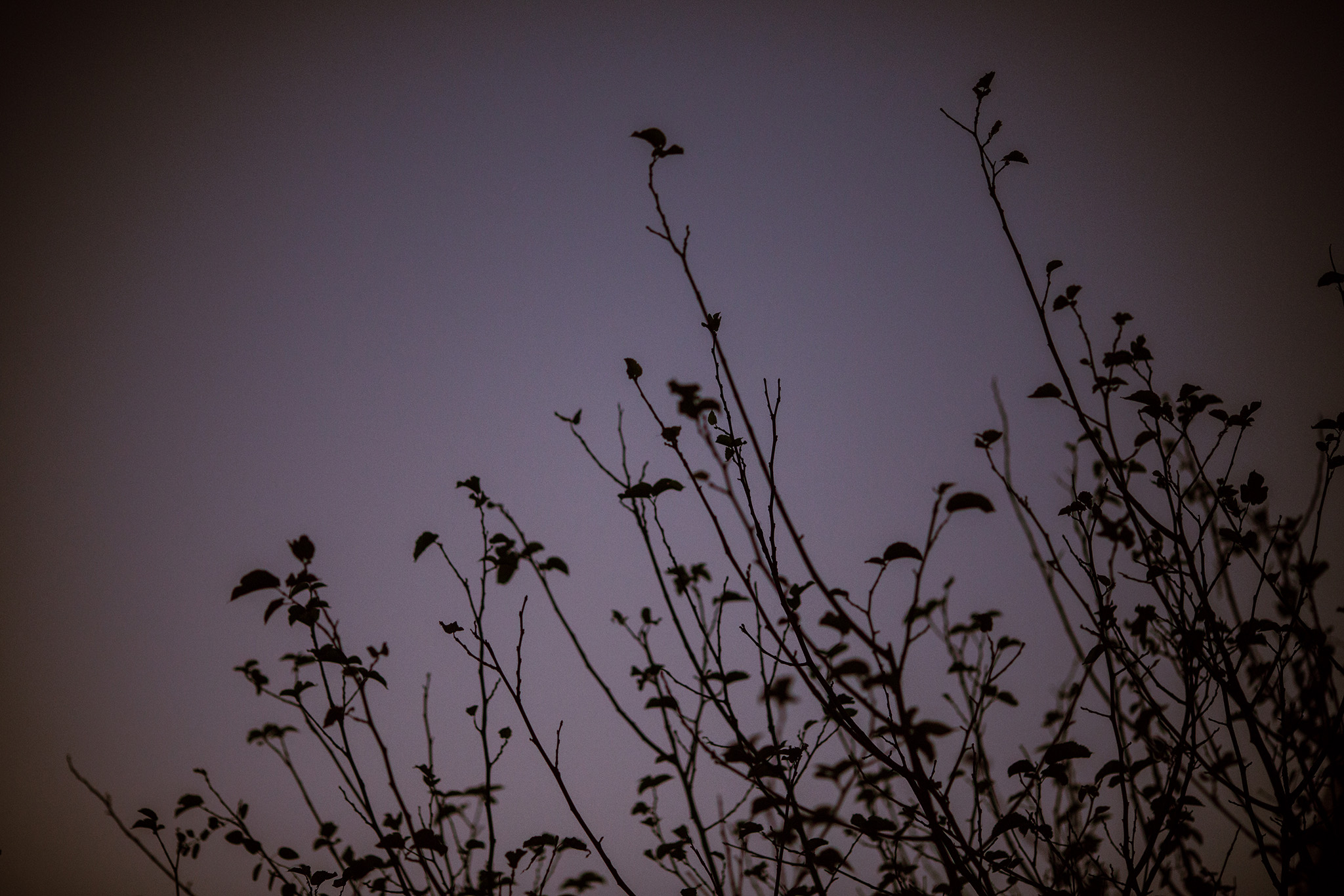 October 17: Dusk.