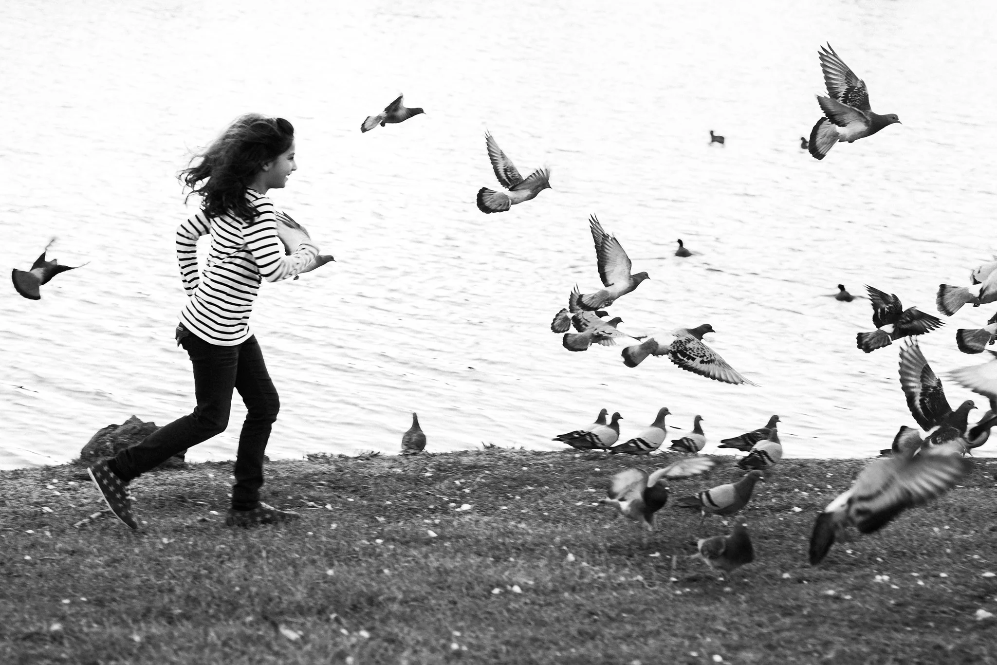 November 23: Reunited with my dear friends, and all Lucy wanted was a photo chasing the birds.