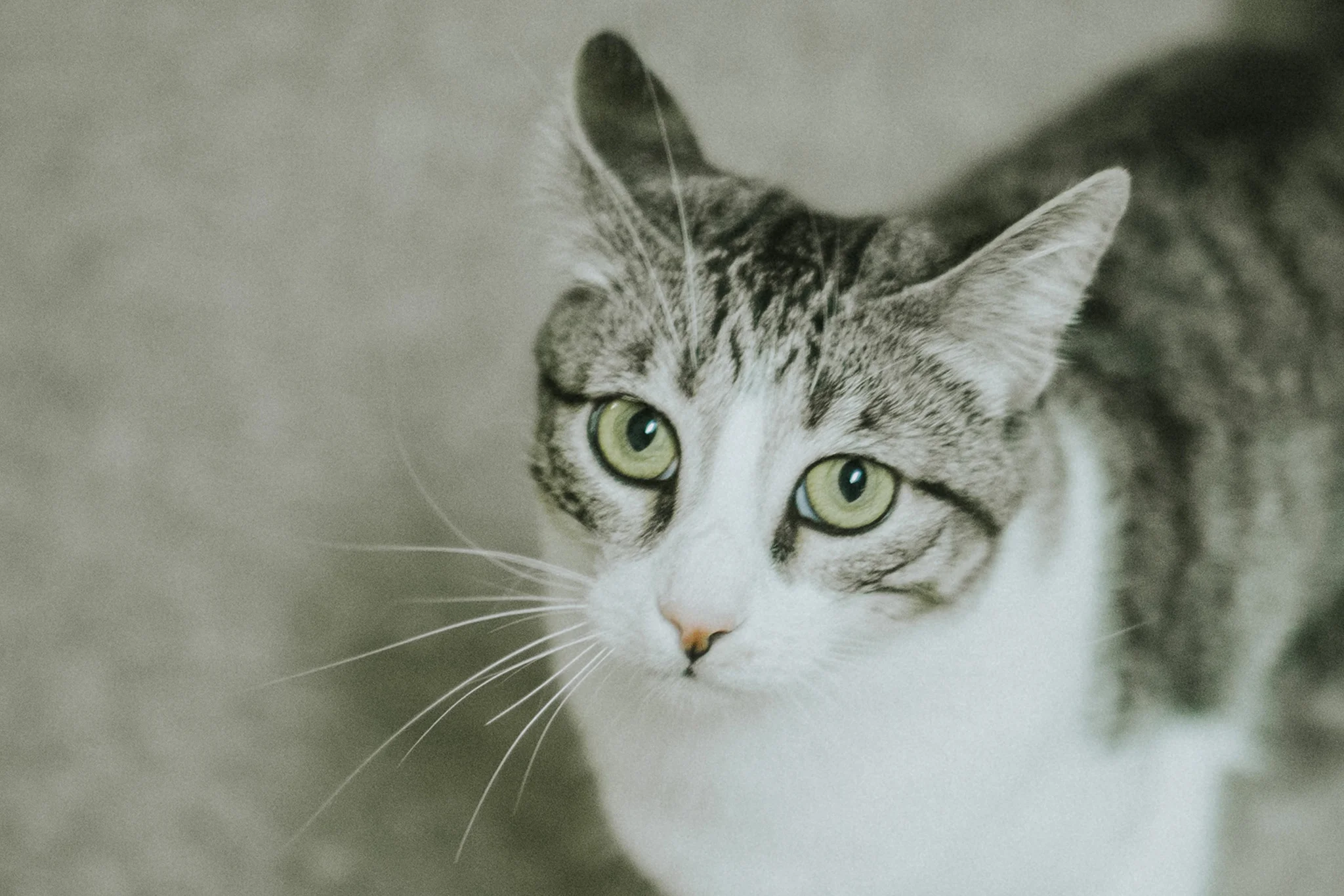 December 12: Trouble.