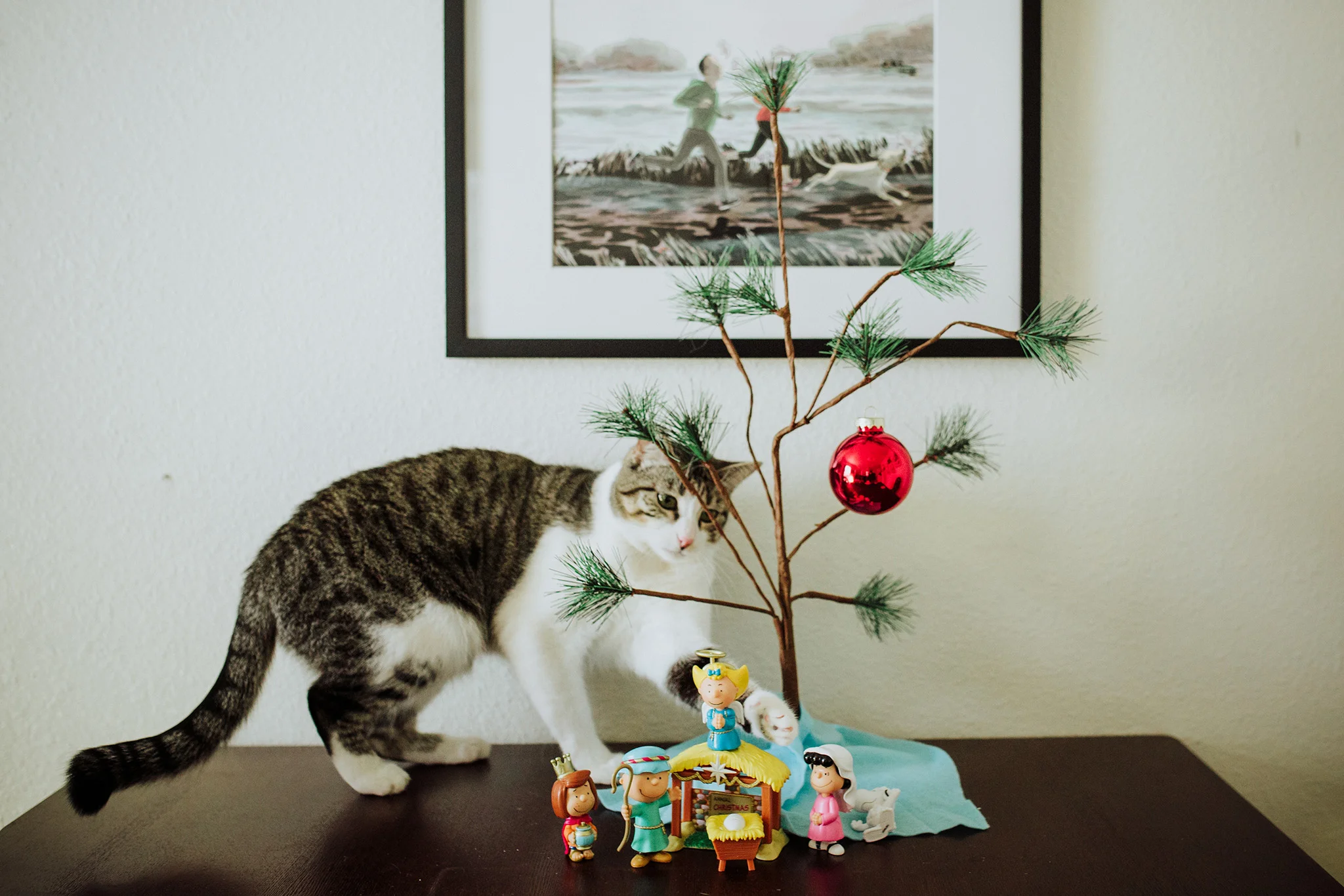 December 21: Charlie Brown doesn't stand a chance.