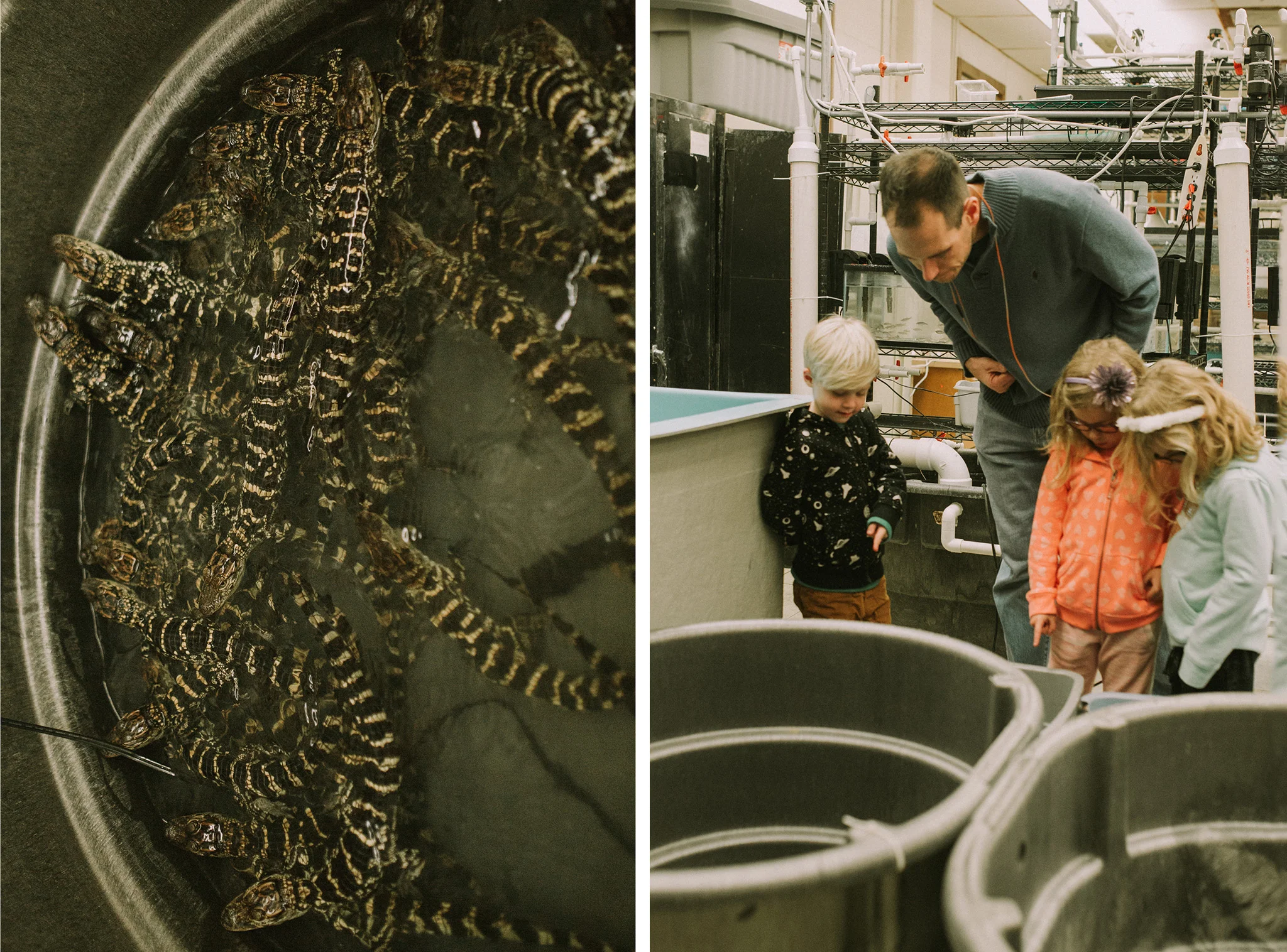 January 3: The triplets came to visit Ty's lab. 