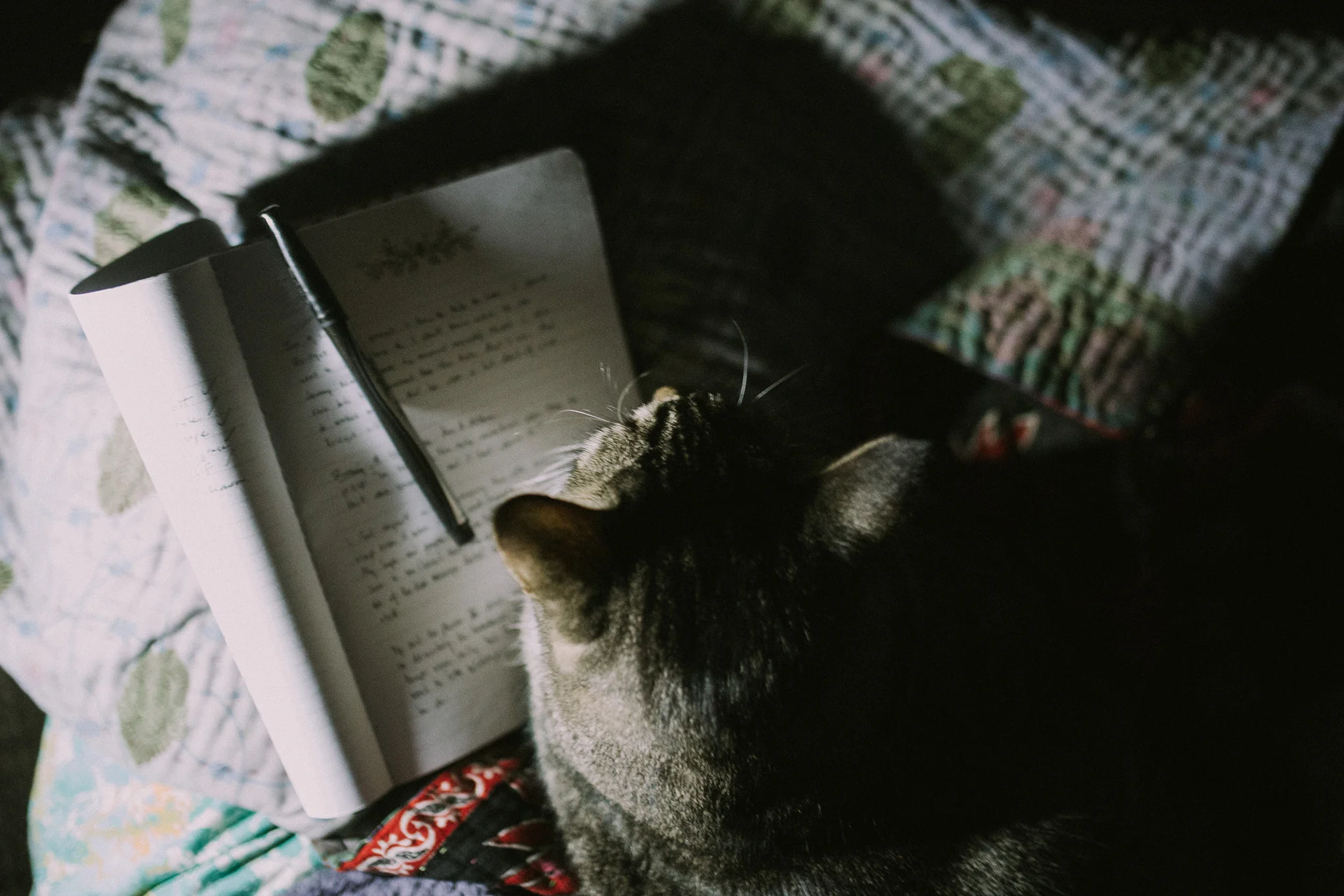 January 4: 4 am, insomnia games.