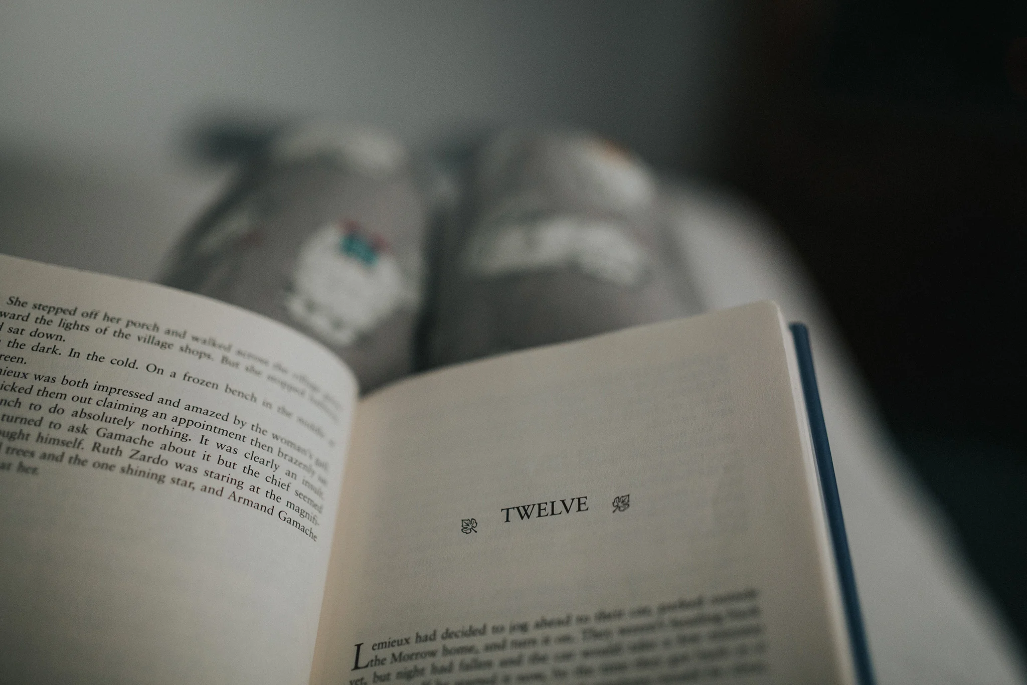 January 5: I am obsessively reading through Louise Penny's Armand Gamache series. Ty is reading them as well. They're fun mysteries, but it's the humanness of the characters that keeps me coming back.