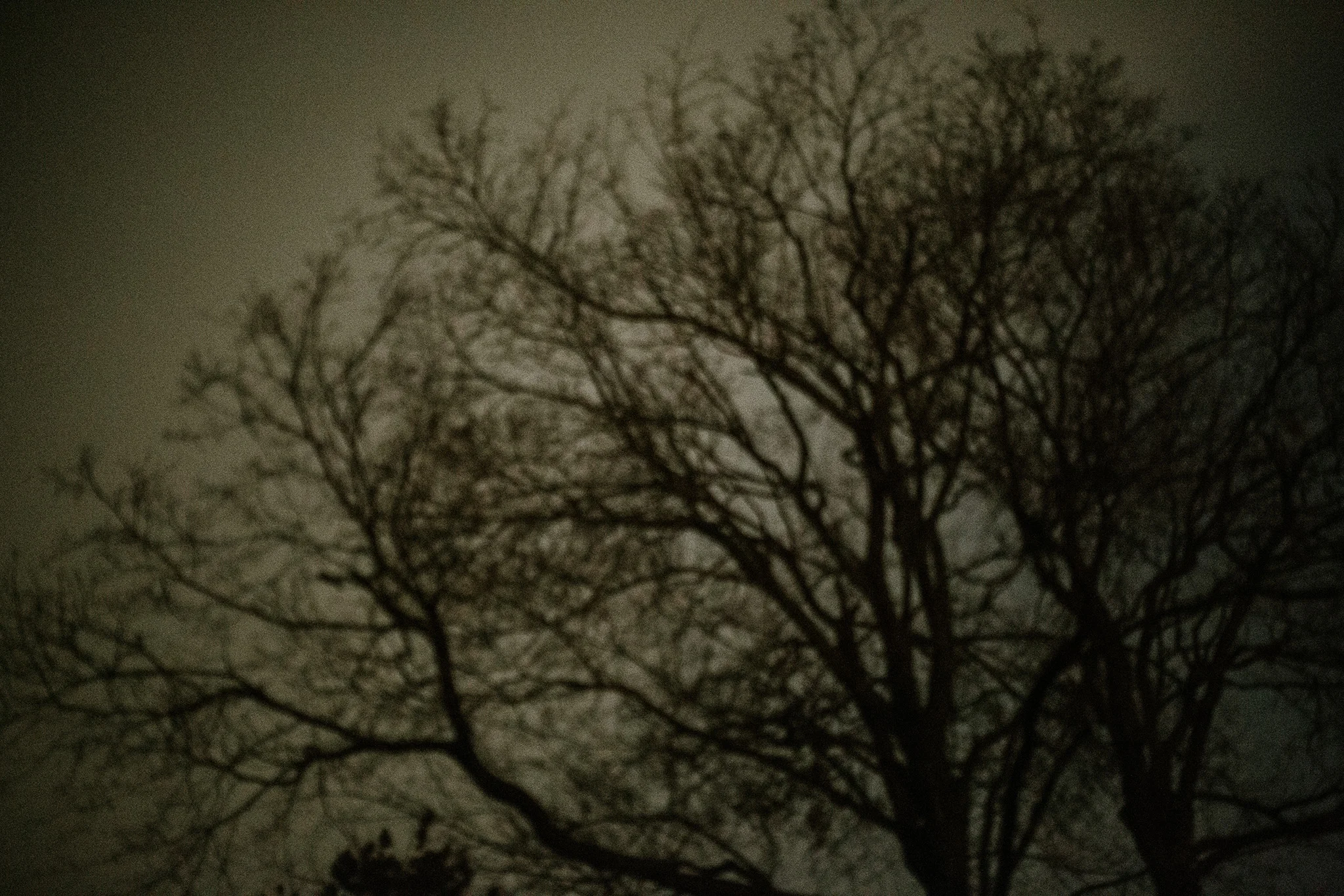 January 12: Connecticut winter dusk.