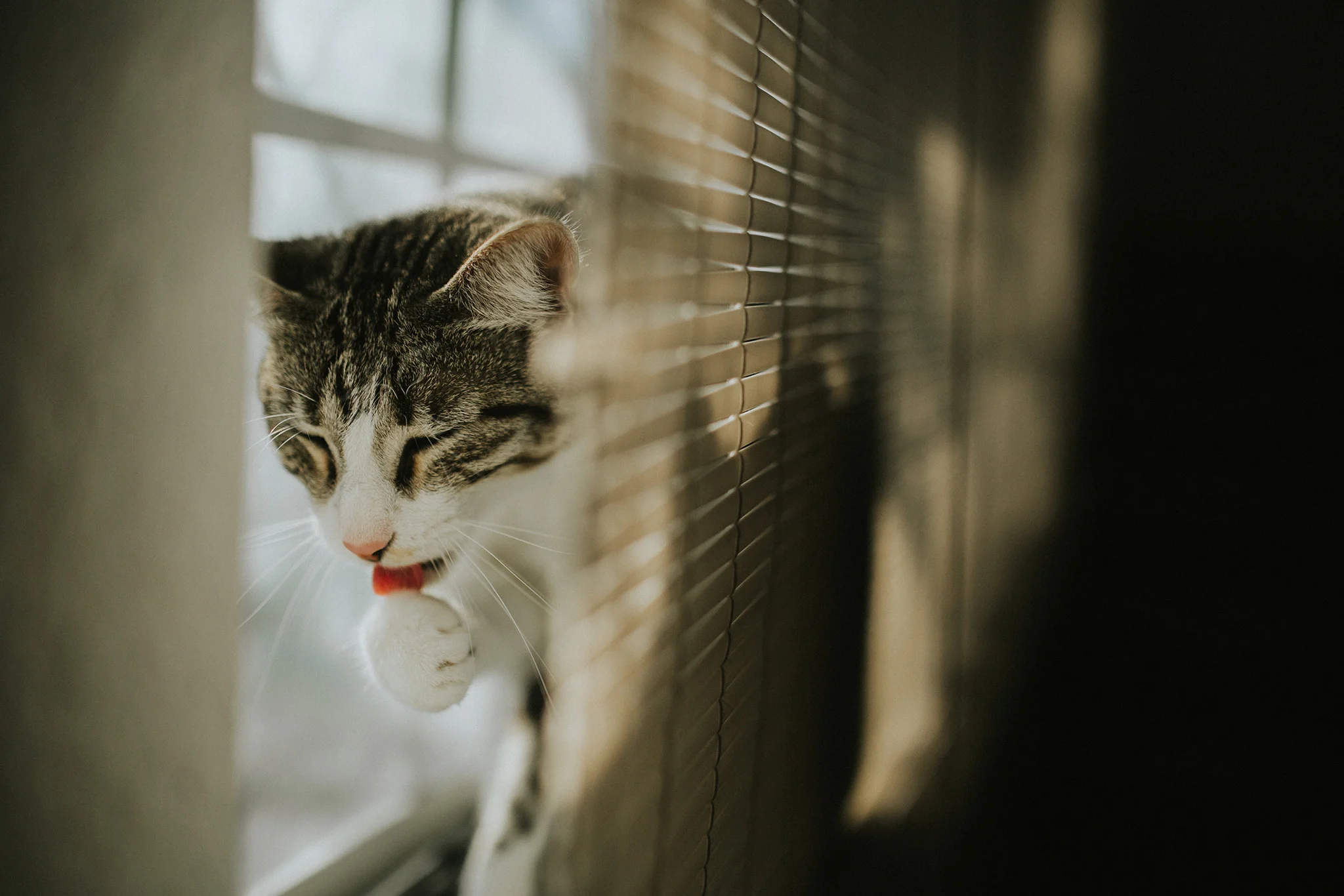 January 23: Sun bathing.
