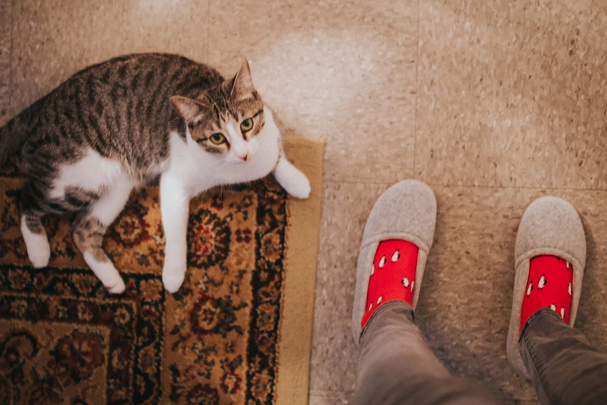 January 25: That stare.