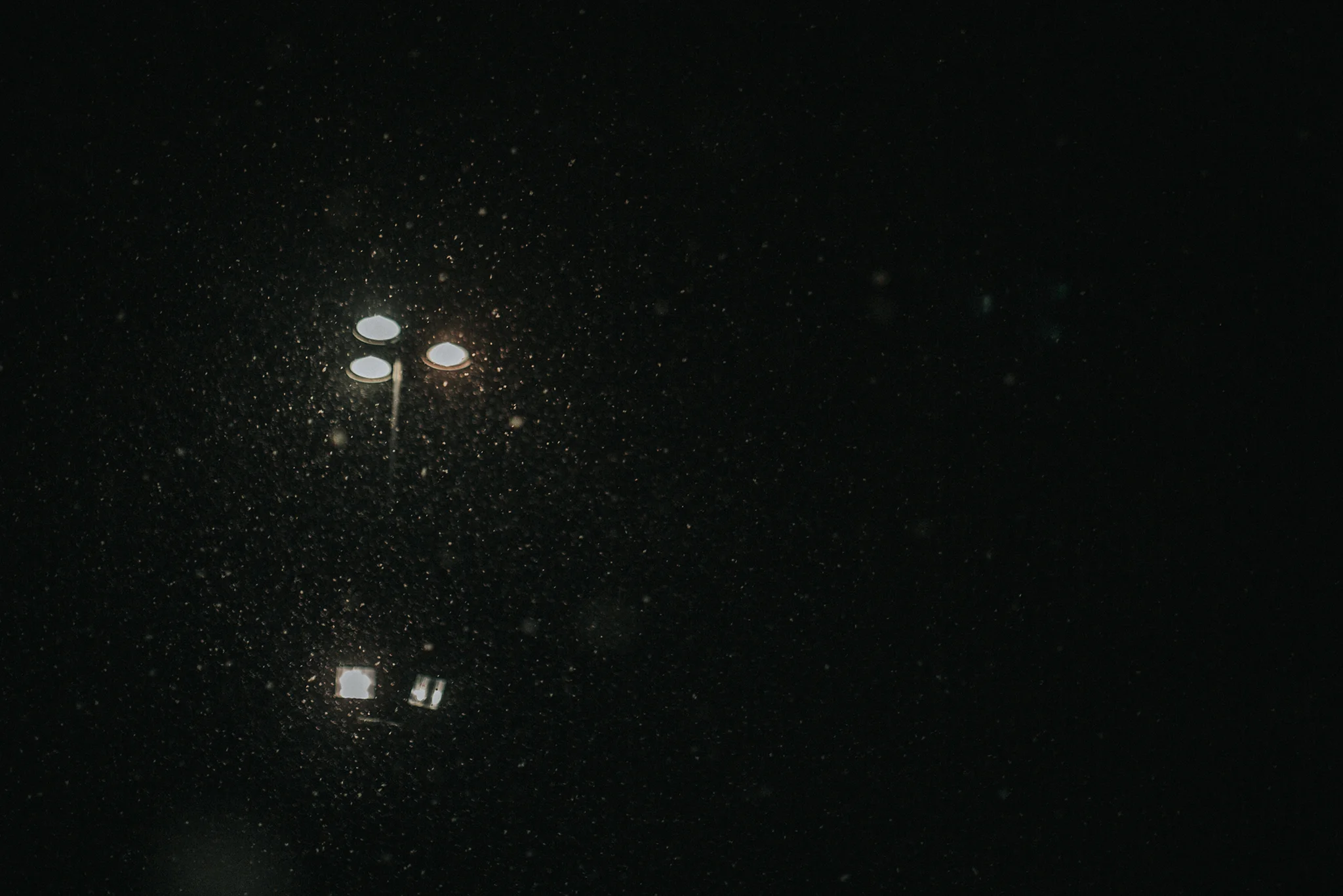 January 31: An unexpected second January house-hunting trip.