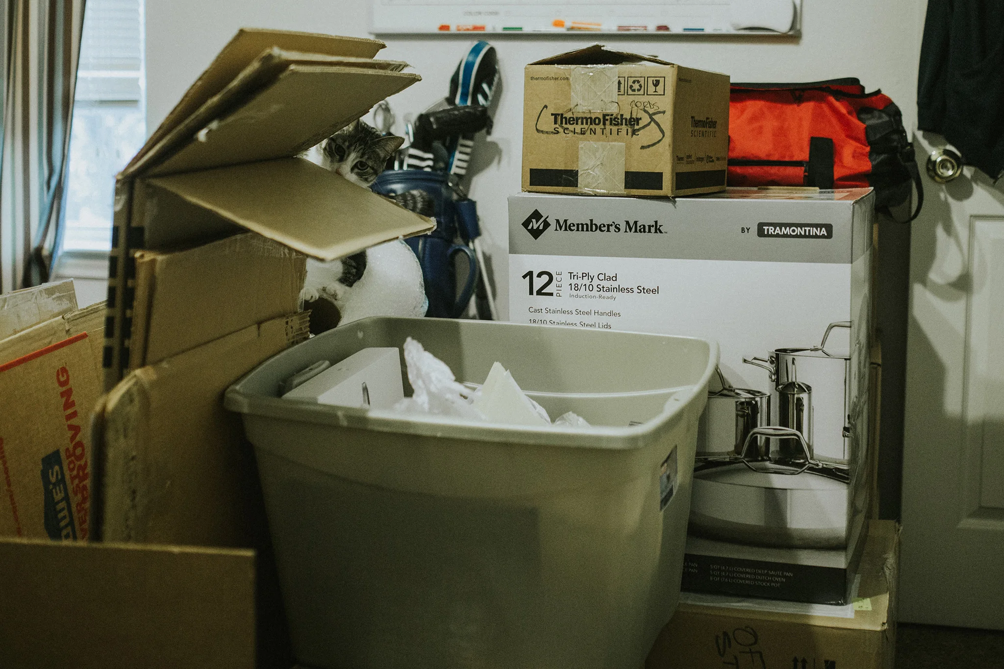 February 4: I spy the naughtiest packing, er, helper.