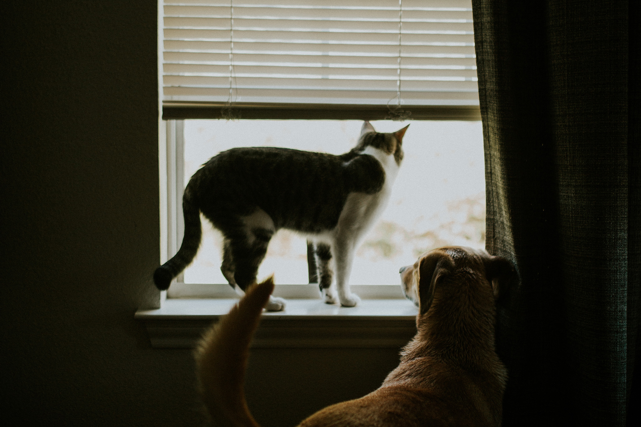 February 10: When Ty leaves for work...