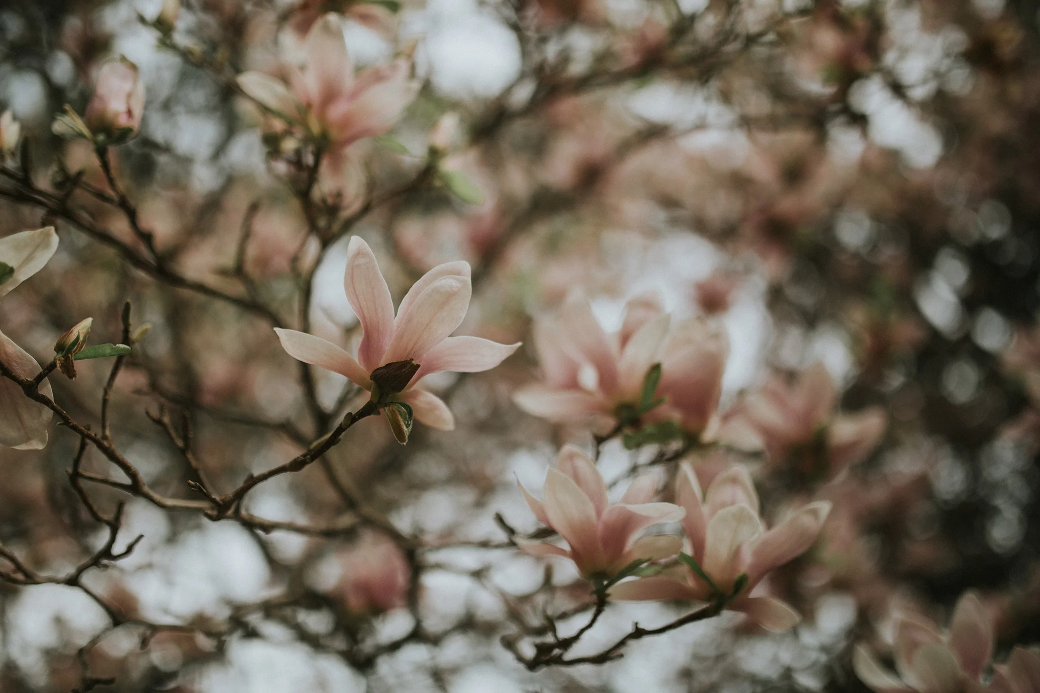 February 28: Spring approaches. Fast.
