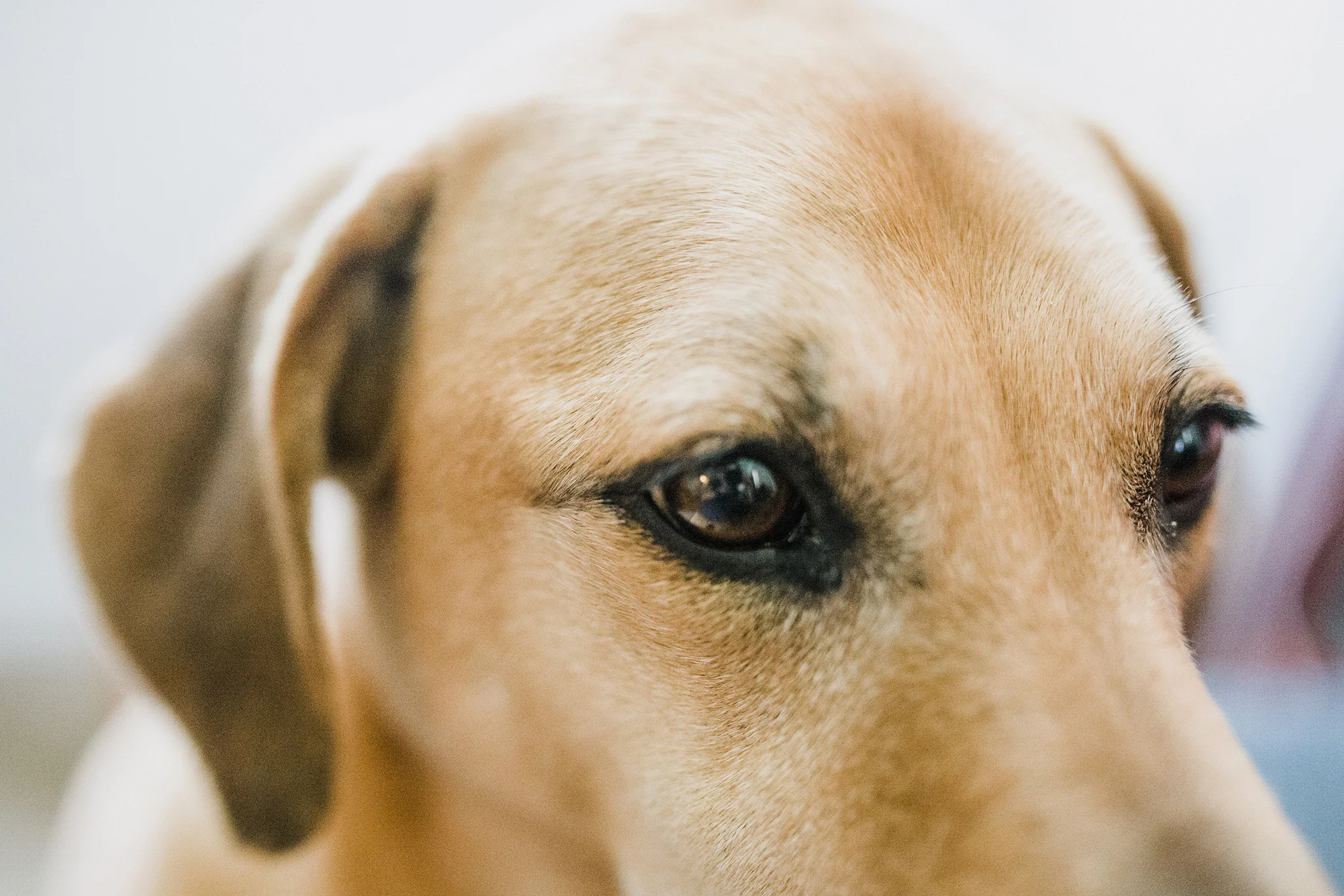 March 6: Every time I tried to take her photo, she came a little closer. Finally, I went with it.