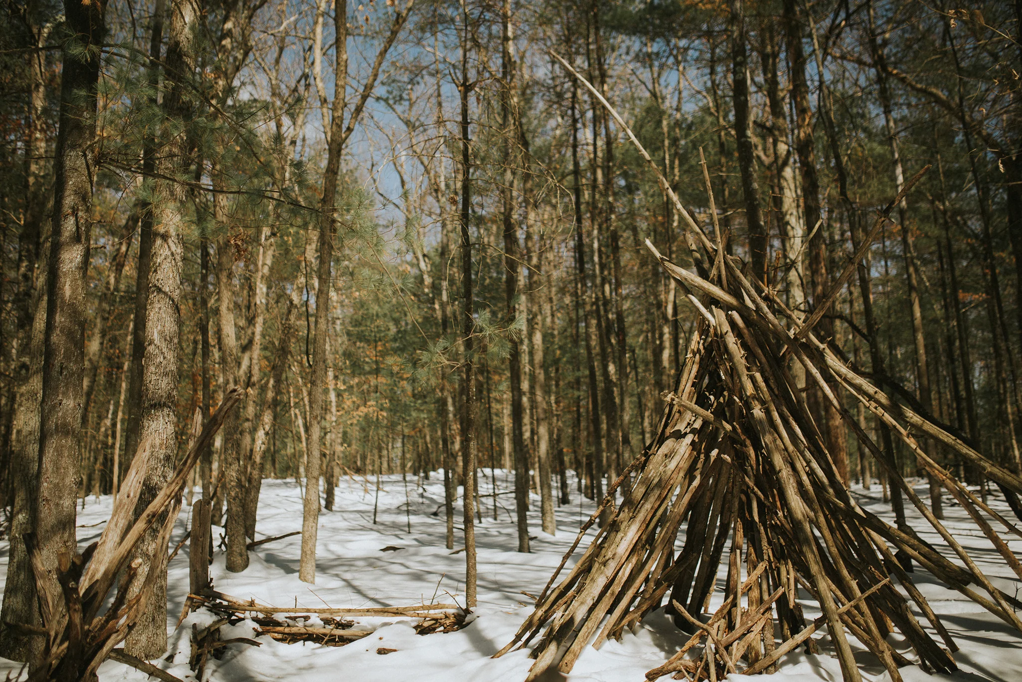 March 19: Snowshoeing discovery.