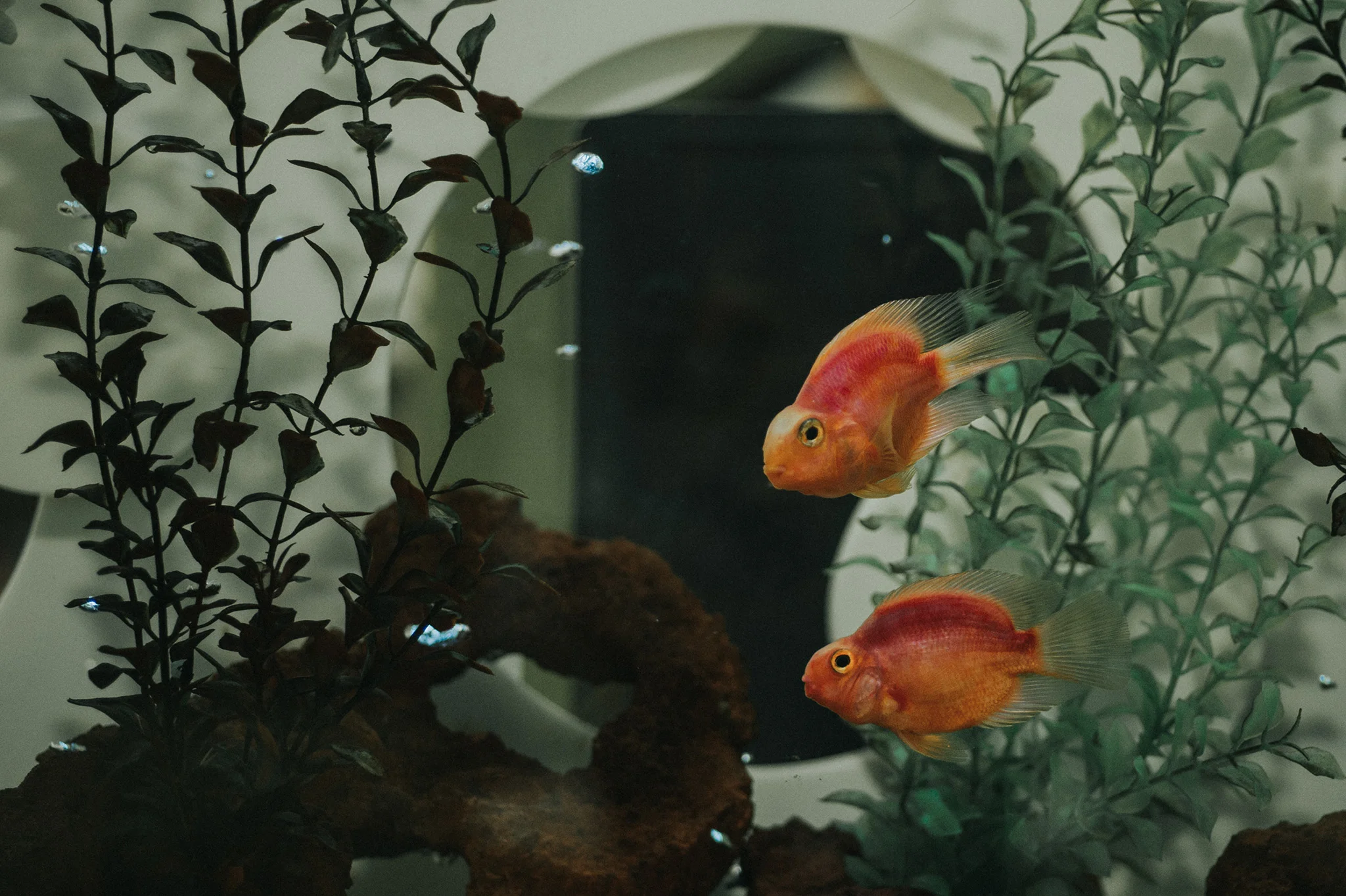 March 24: Work friends.