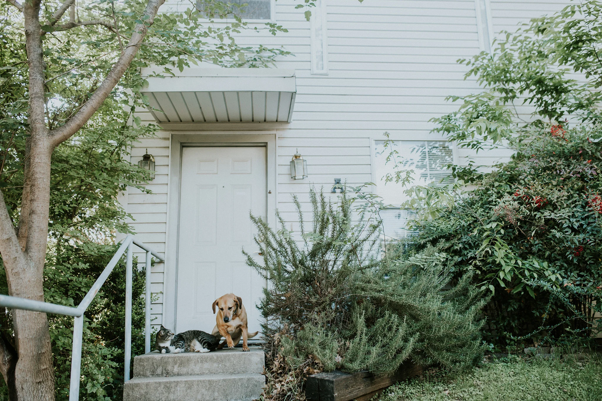 April 5: Farewell to the apartment where our marriage began. It's fitting that our original furry friends made the shot.