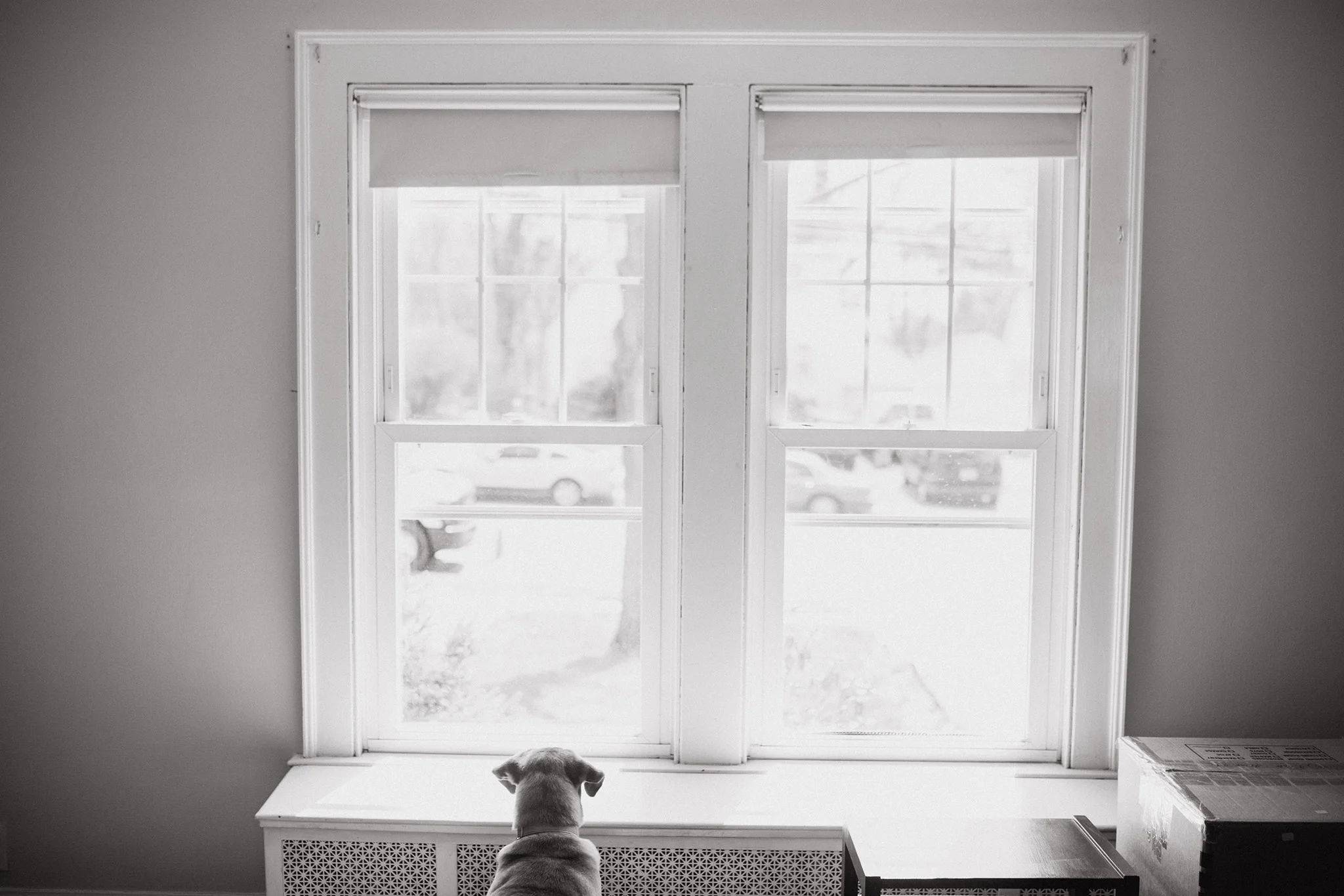 April 8: Move in day. New window; same routine.