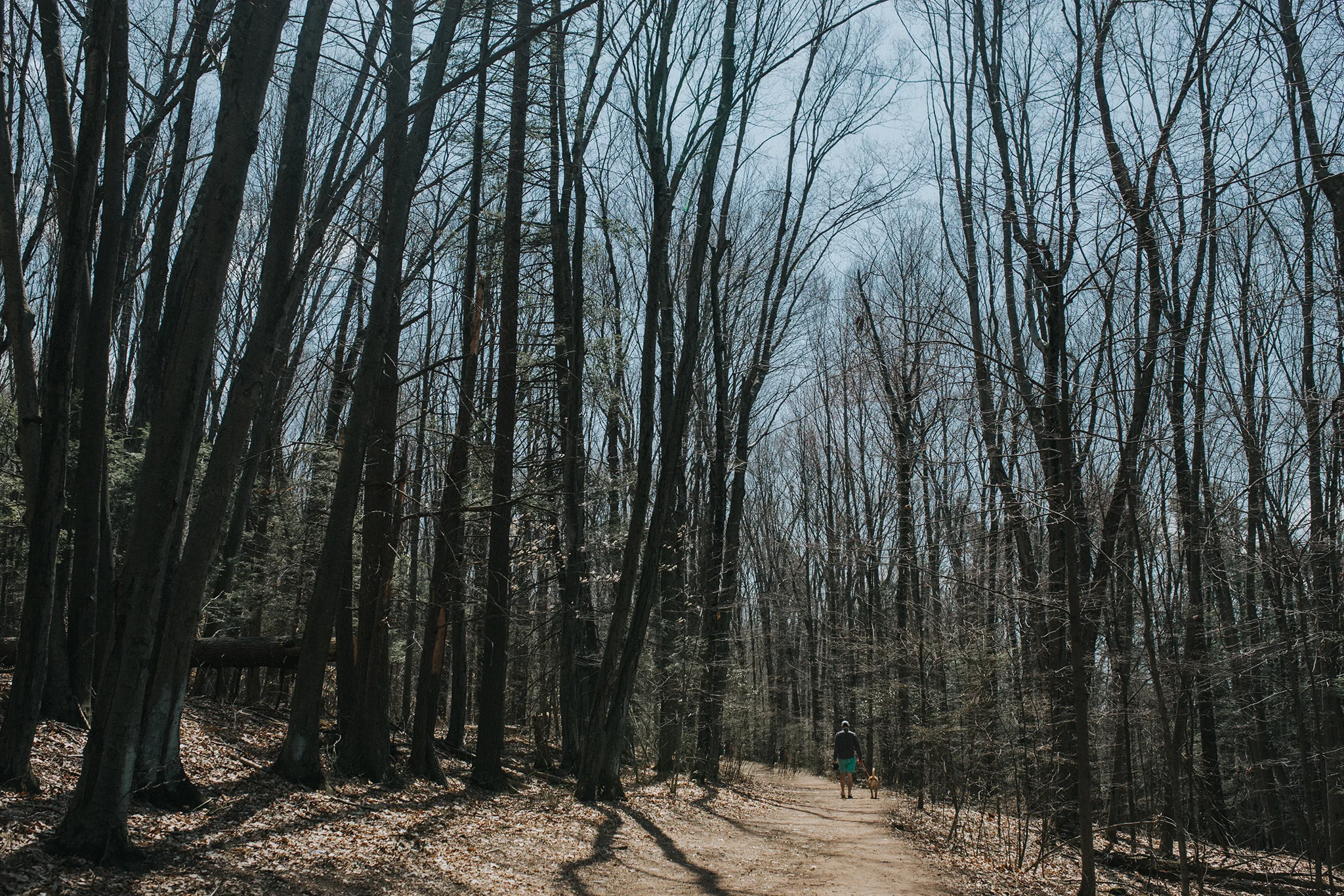 April 16: Exploring.