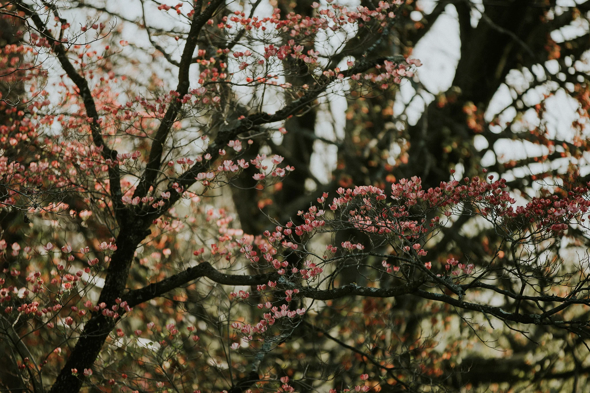 April 29: Every. Day. Something. New.