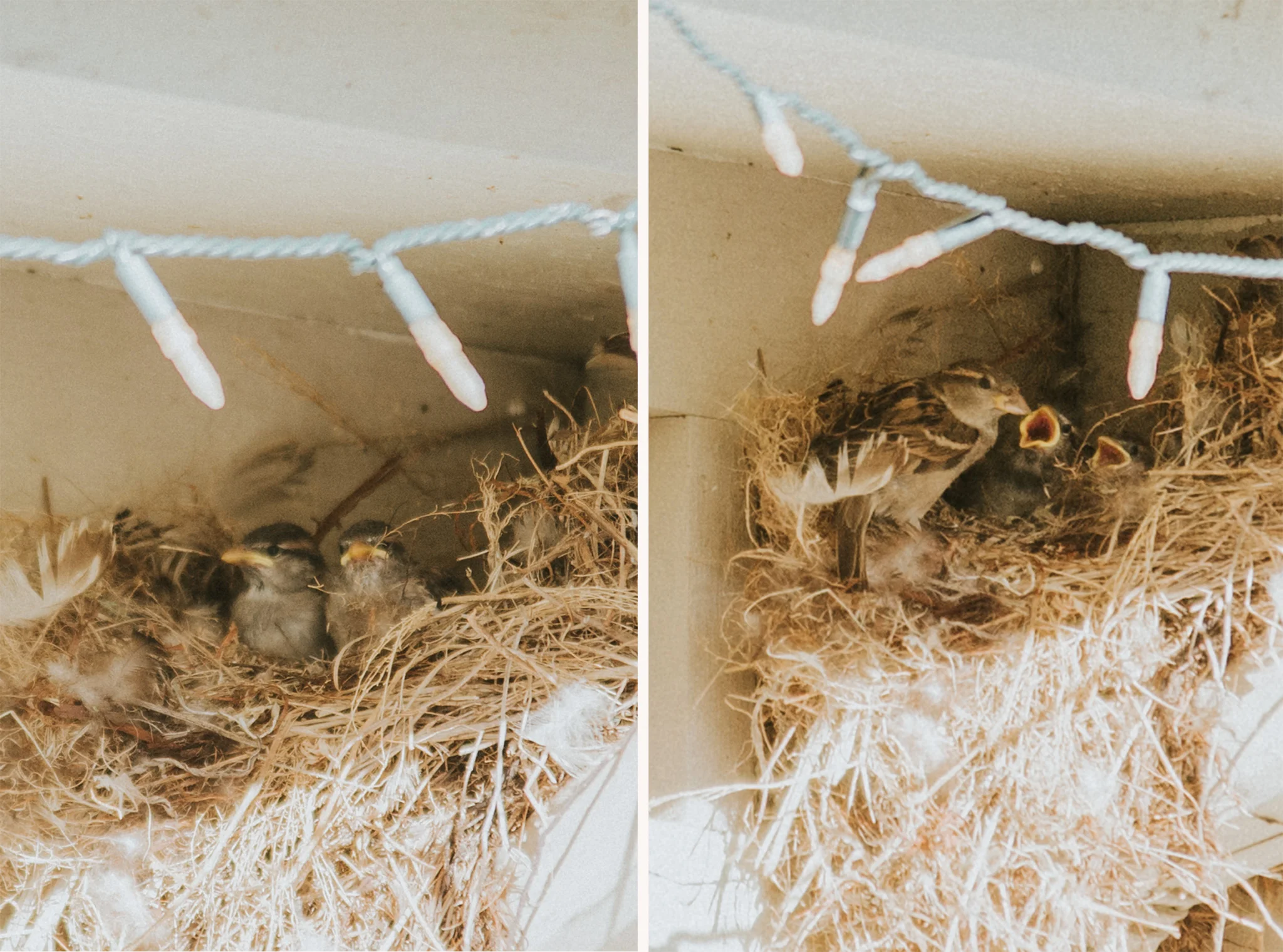 May 16: Signs of spring.