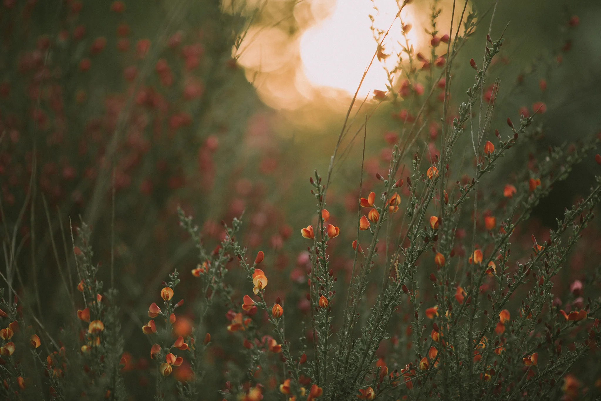 May 20: Golden hour was nothing short of magical all month long.