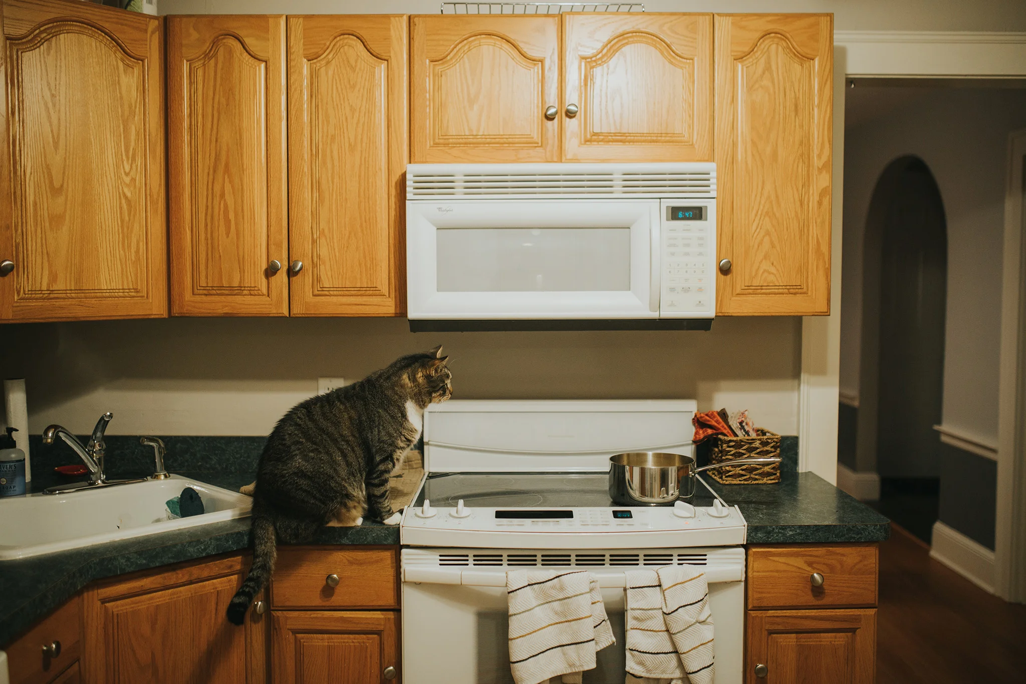 October 17: A watched pot...