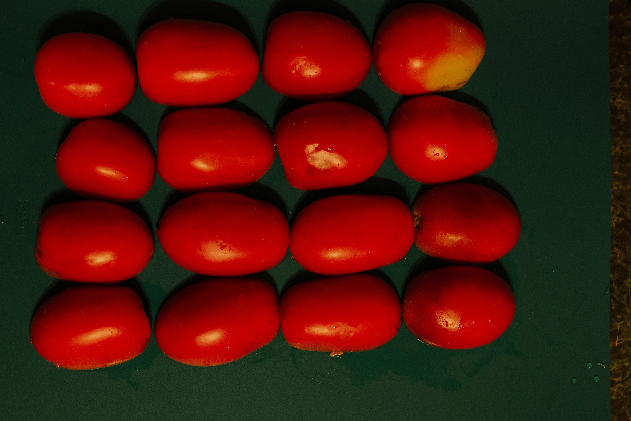 November 13: Tomato sauce in the works.