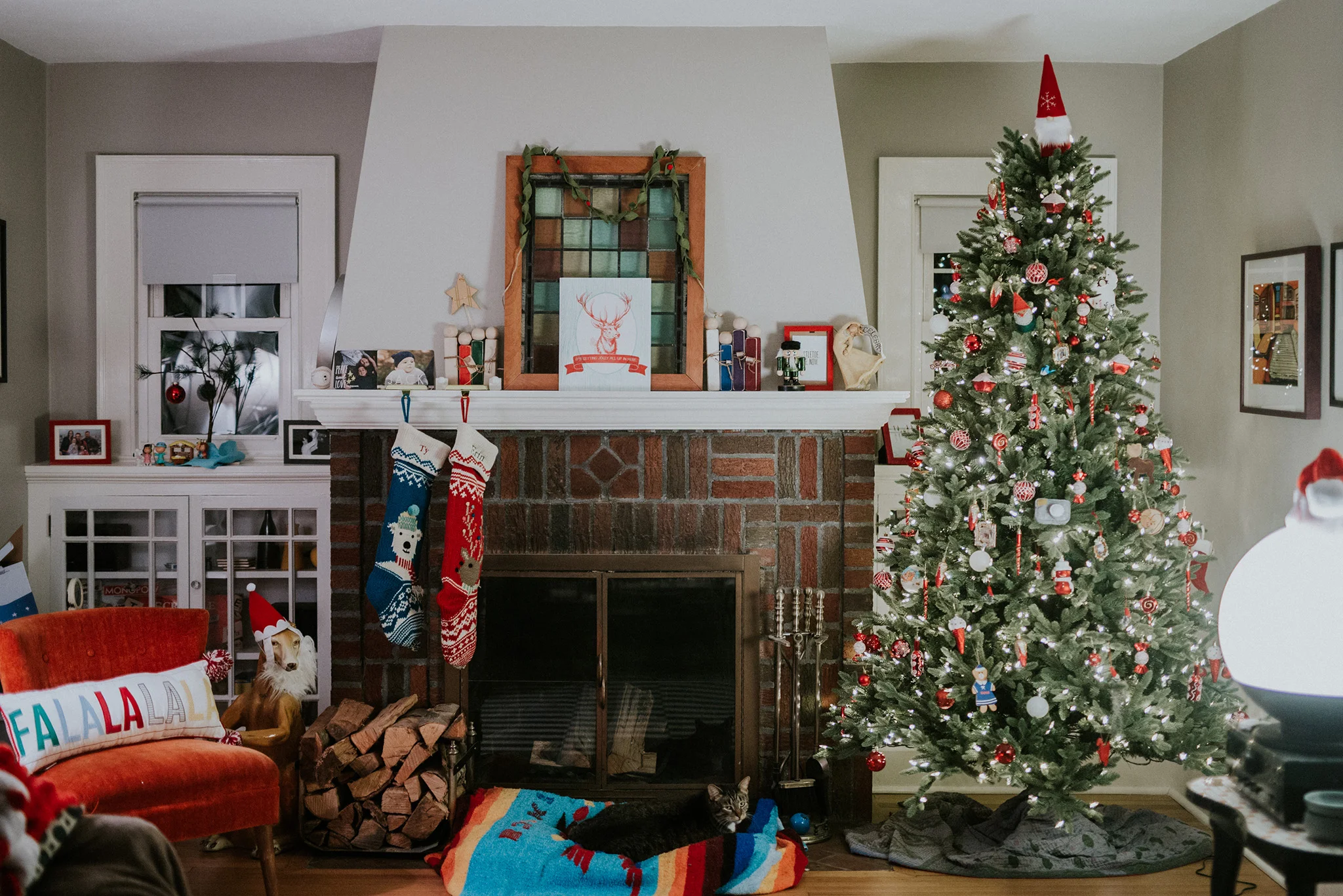 November 26: Christmas cheer. And Albert.