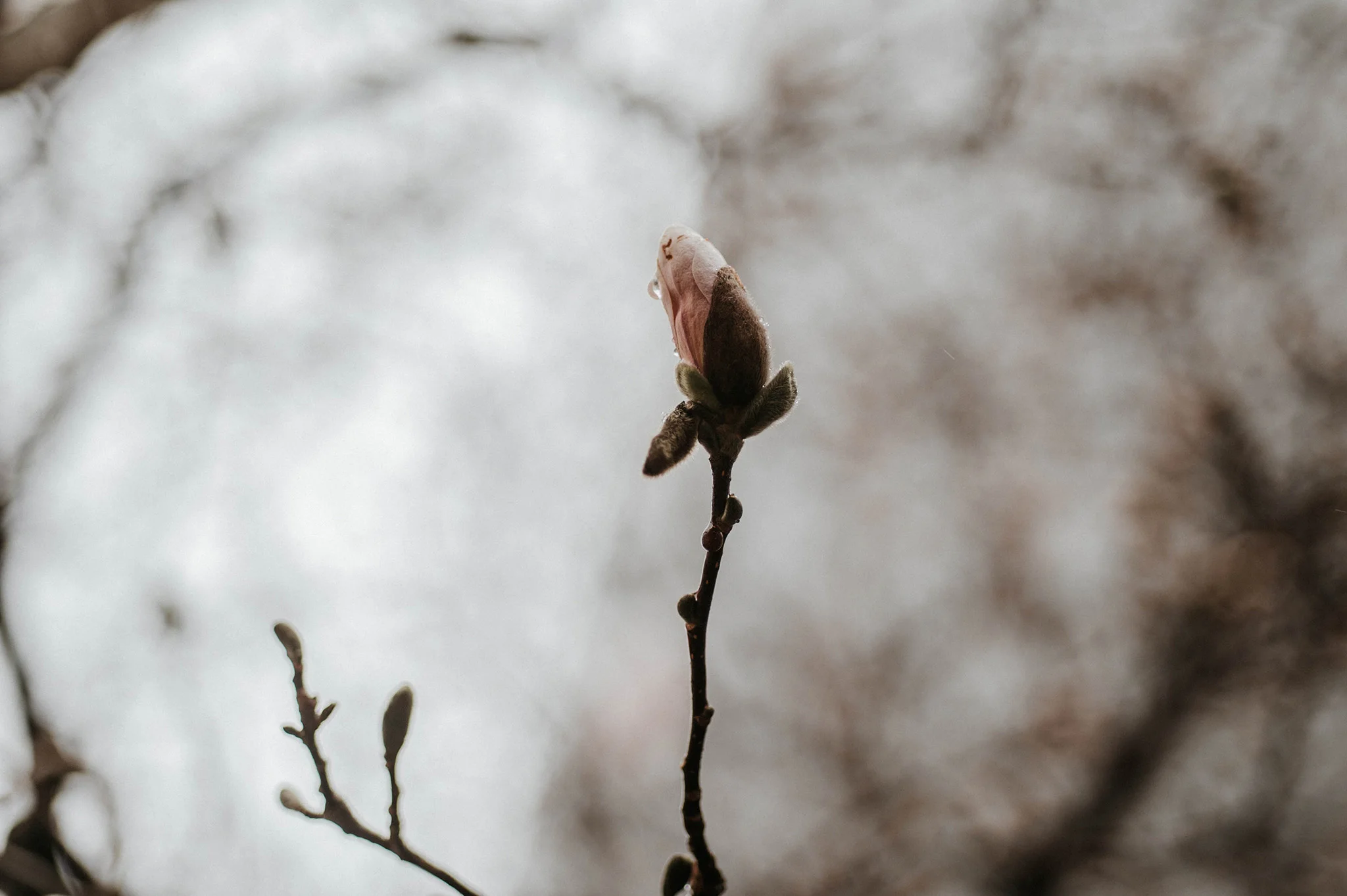 April 10: All things new.