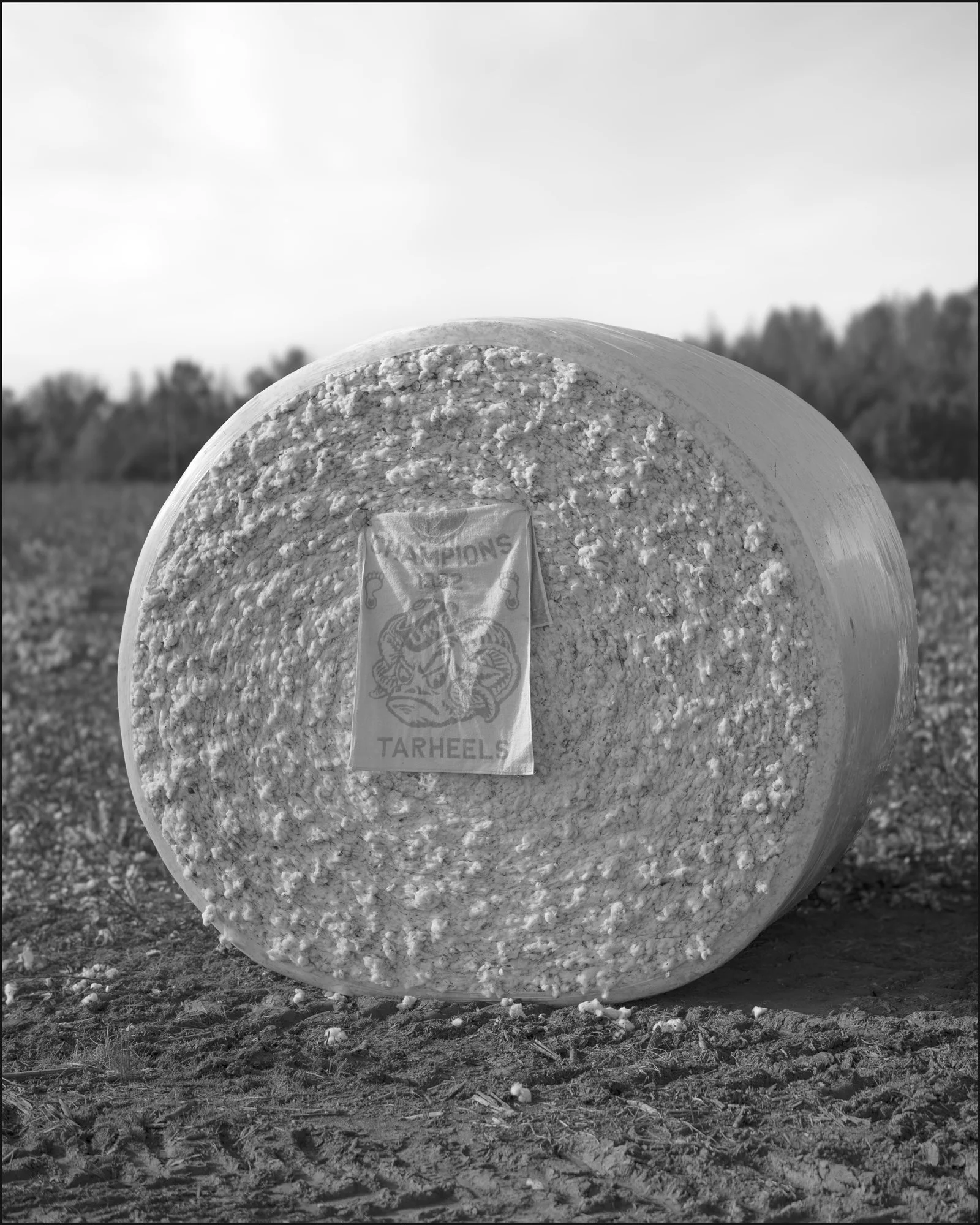CottonBale_LinwoodNC.jpg