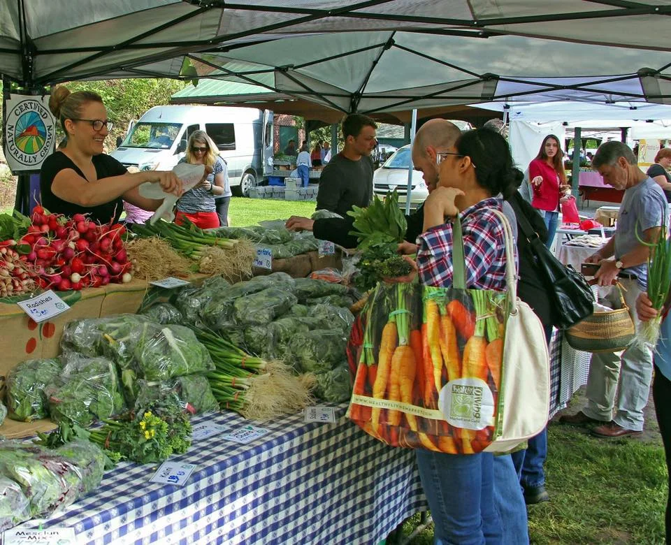 Fresh Take Farm is found at the Glens Falls Farmers Markets and at select stores in Granville, NY.