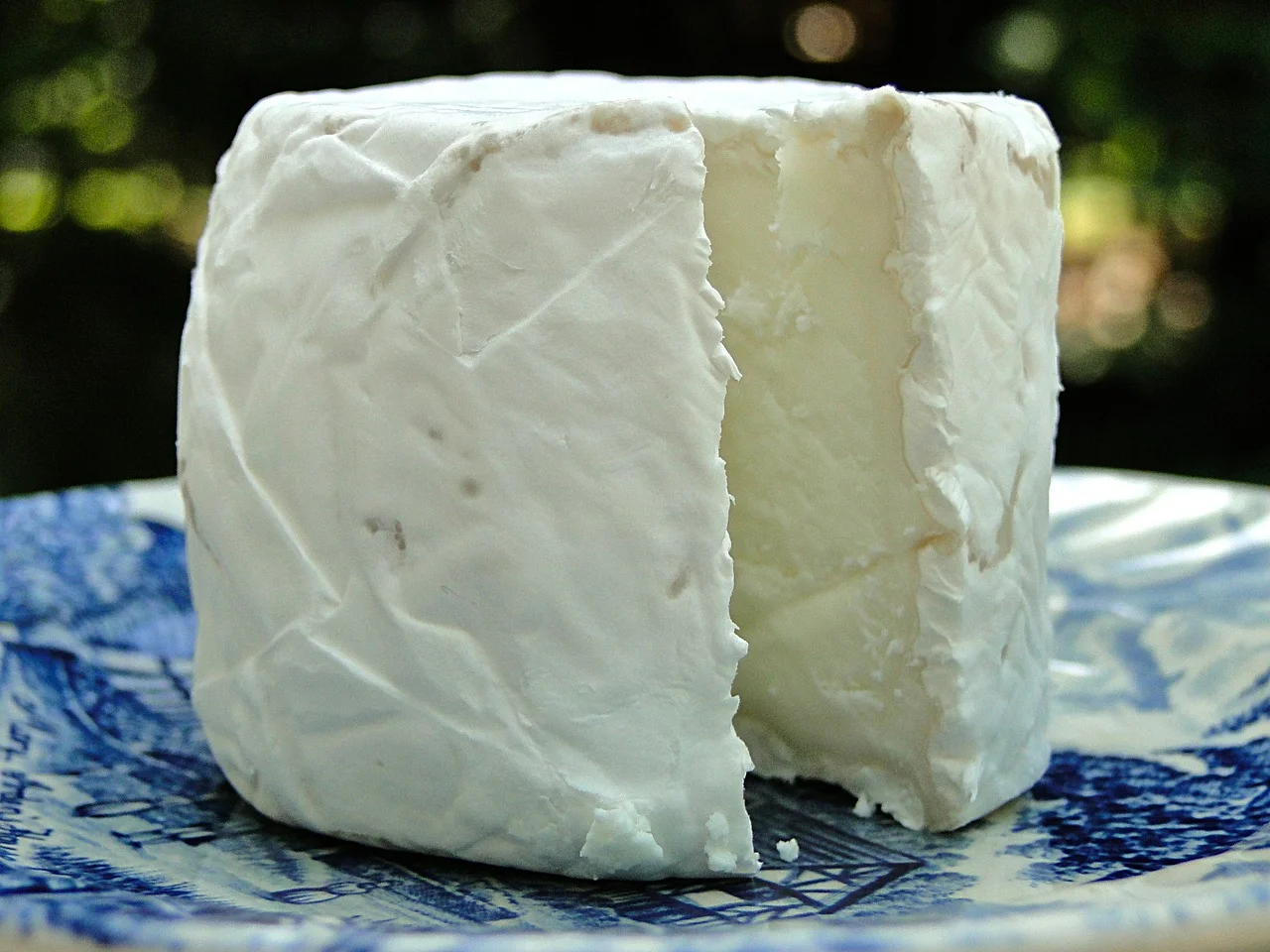 It's a well known fact that Washington County makes the best goat cheese ever.