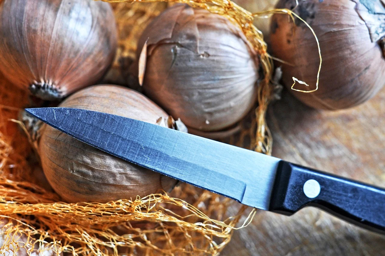onion-3134020_1280.jpg