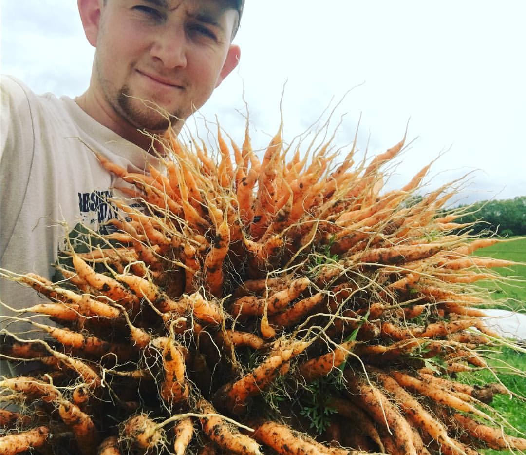 farmer sky-carrots.jpg