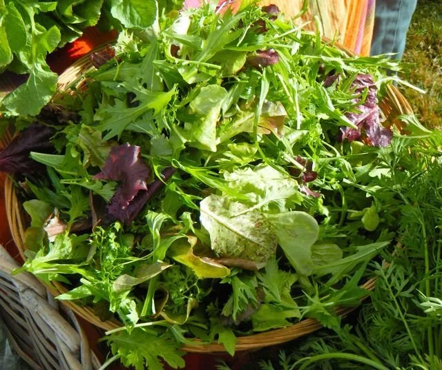 166E3BD4-A0B2-4B83-9A41-50F0939FB70D