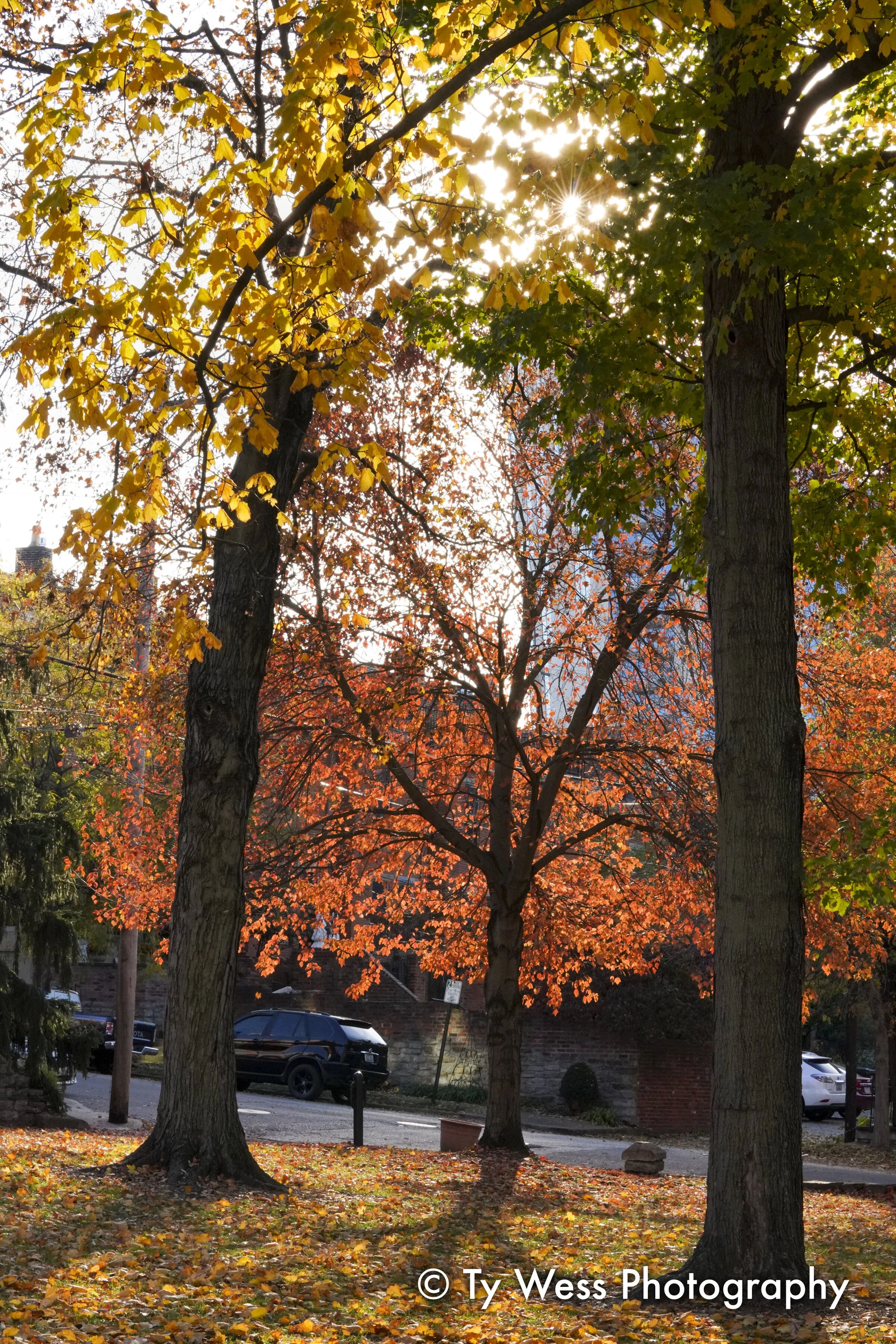 TAW00928.jpg