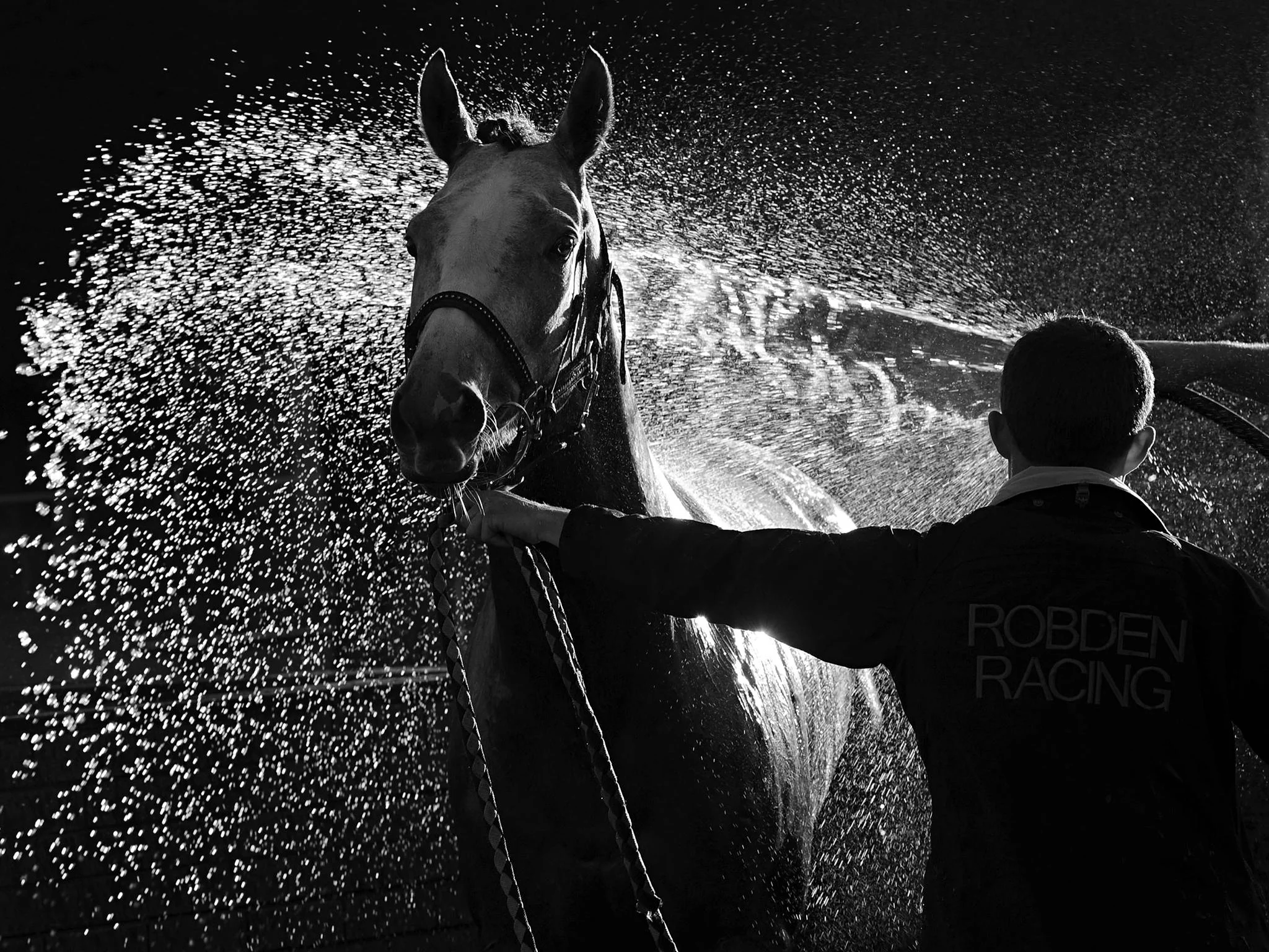 YOU CAN LEAD A HORSE TO WATER, BUT YOU CAN'T FORCE IT TO DRINK