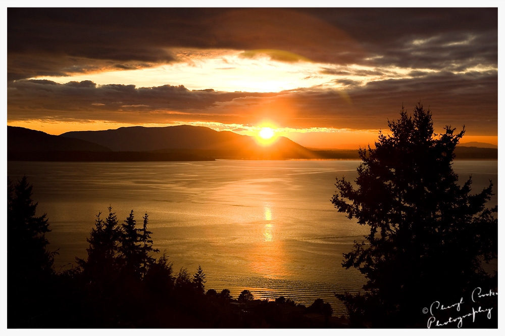 Golden Sunset on Bellingham Bay