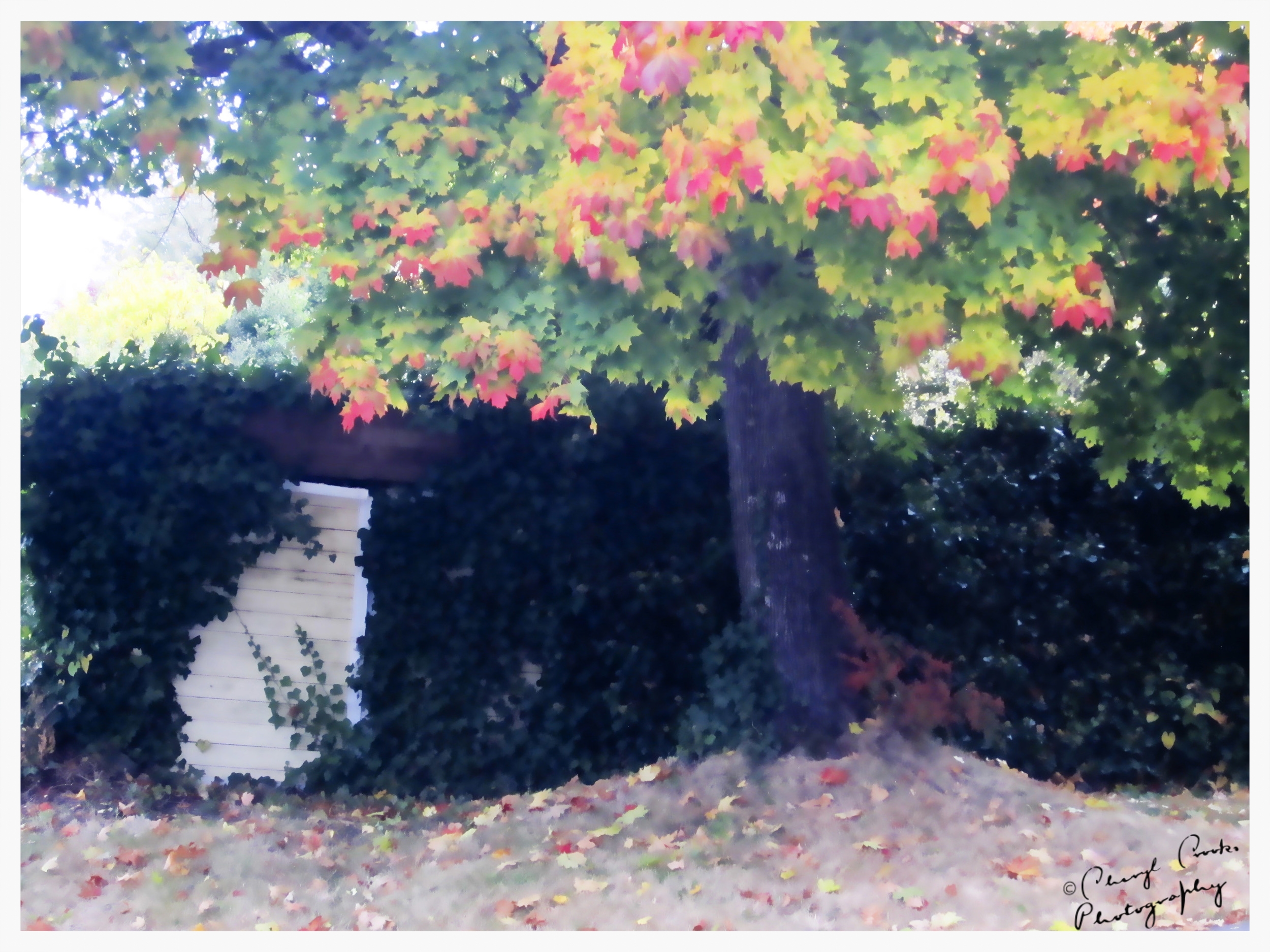 Autumn Gate Pastel
