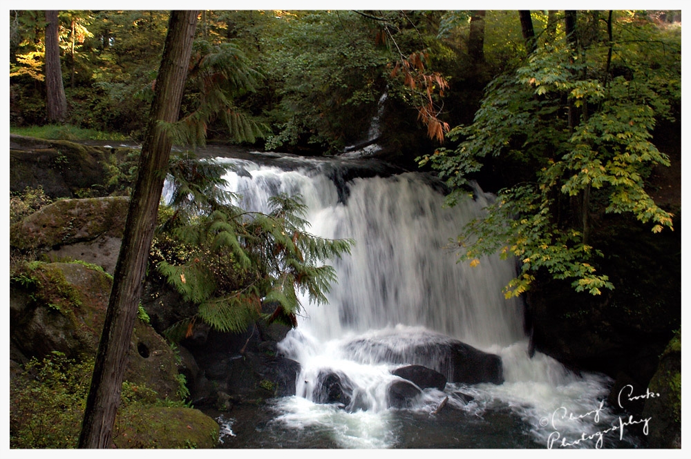 Whatcom Falls